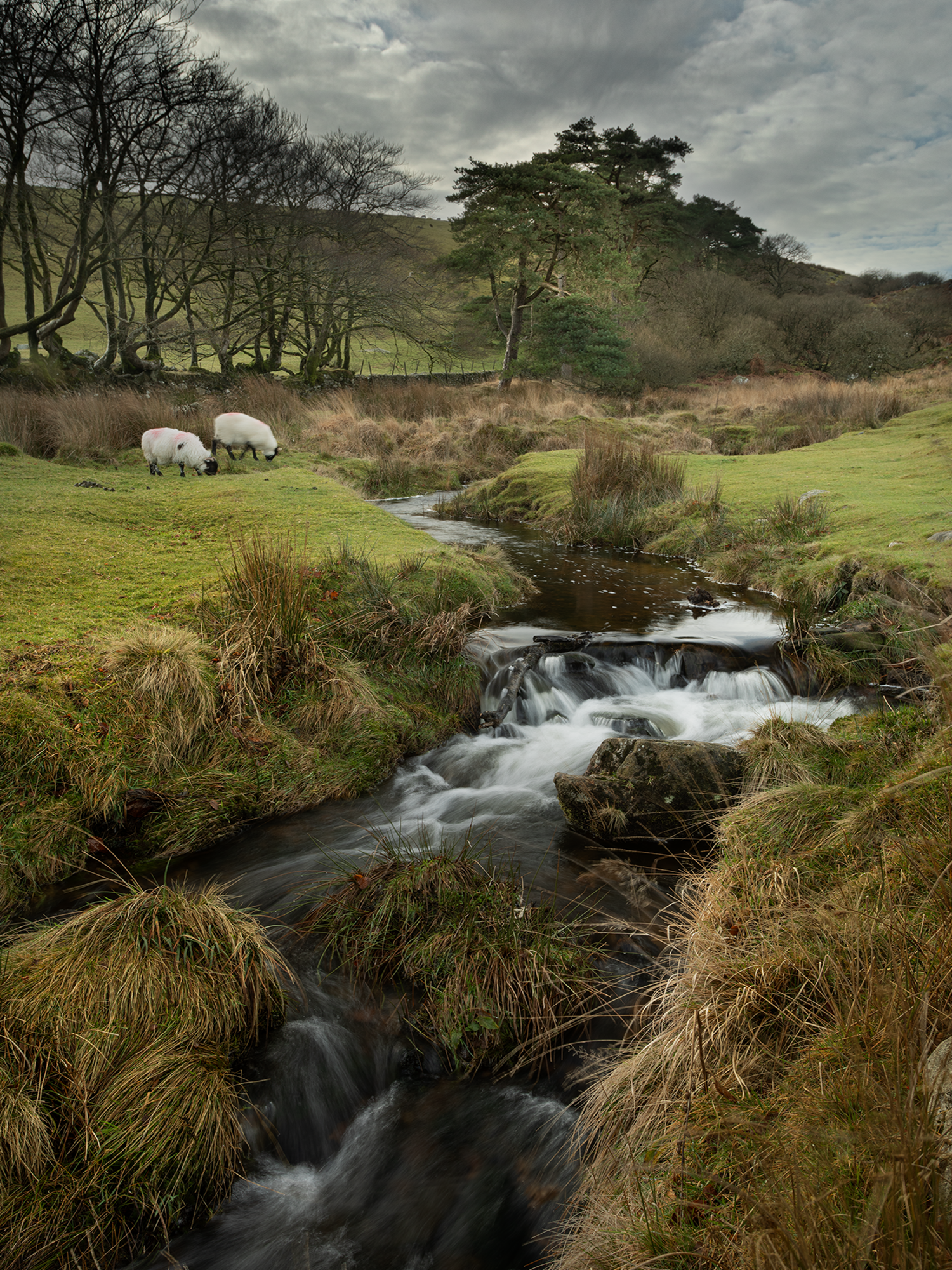 Cullever Steps & the East Okement River