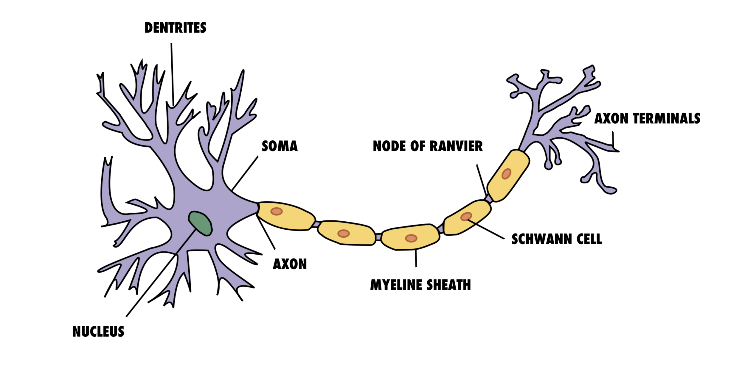 Screen Shot 2018-07-08 at 18.33.43.png