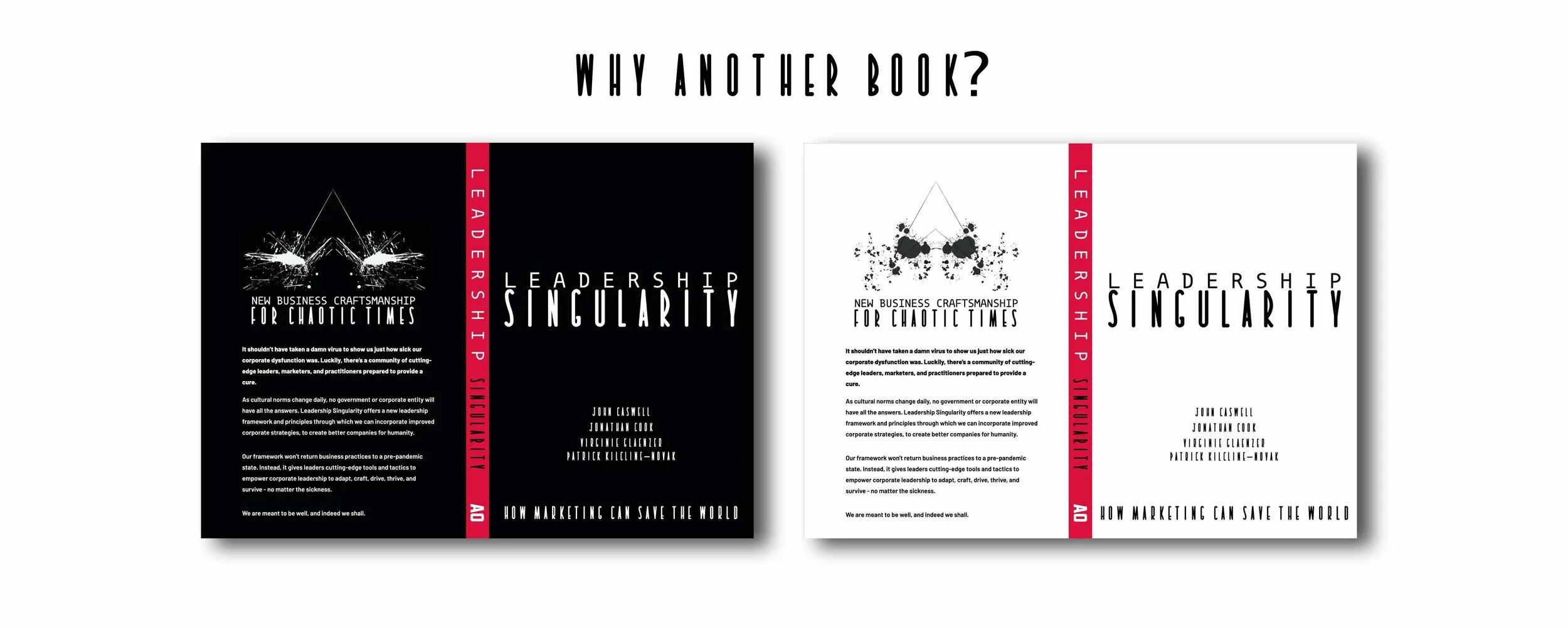 WHY ANOTHER BOOK?.jpg