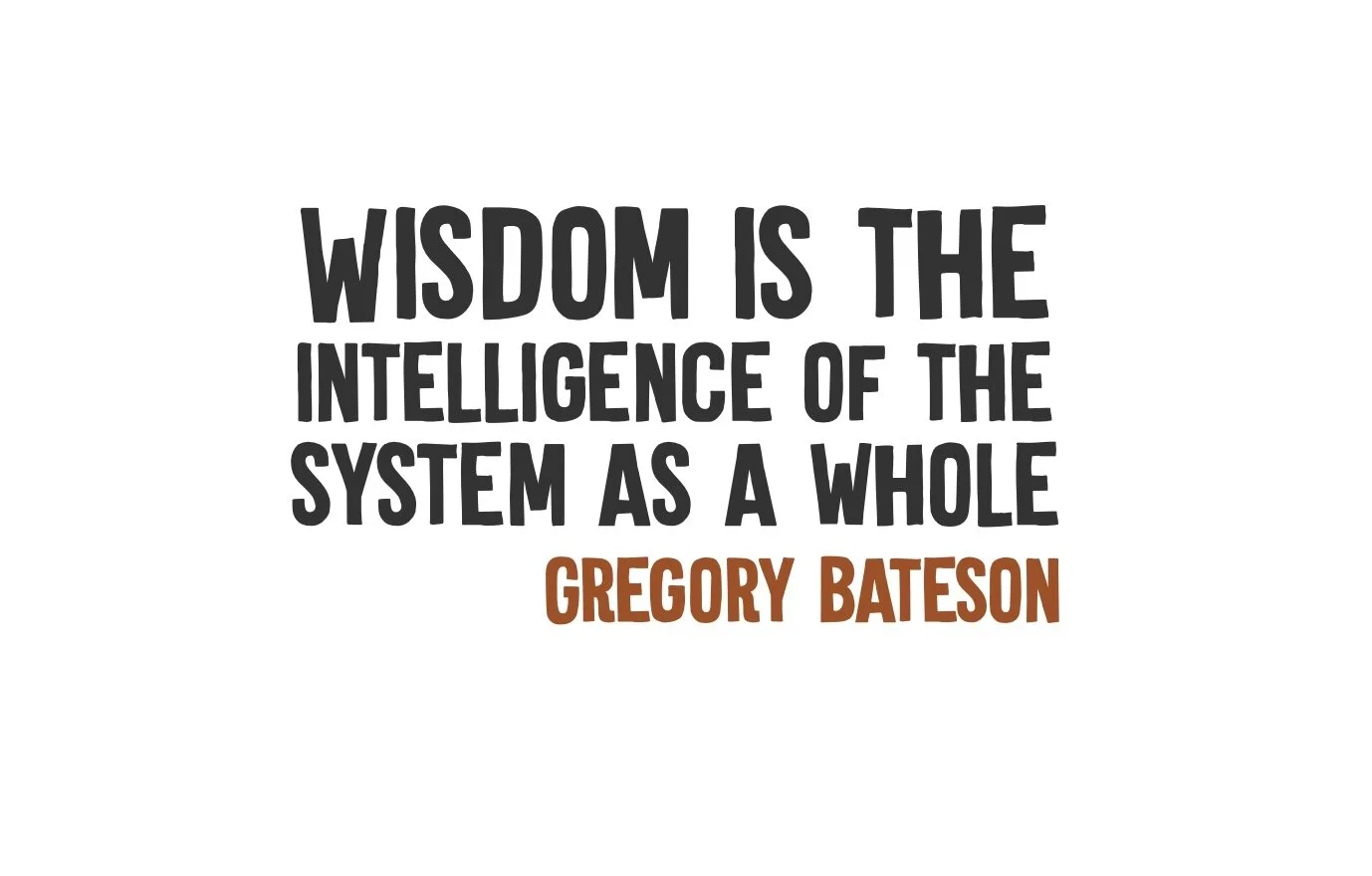 wisdom.jpg