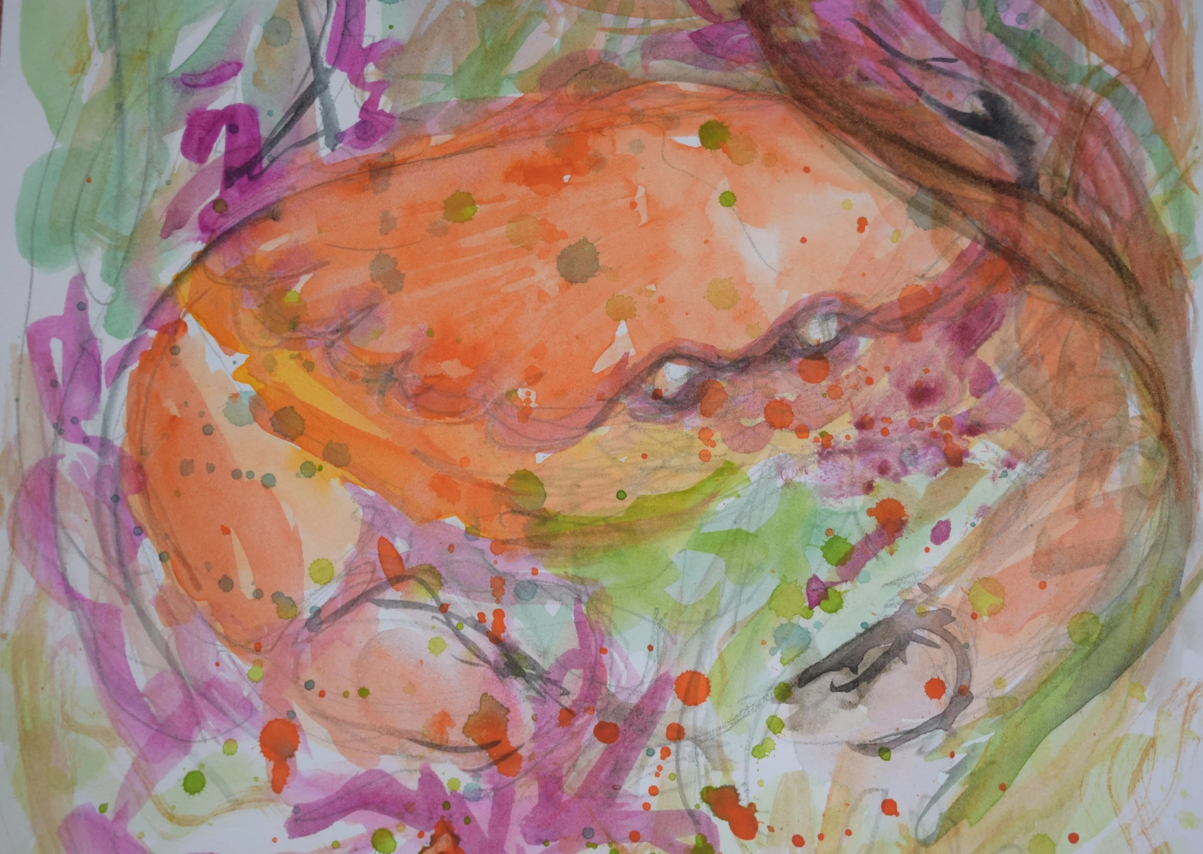 Cedric the Crab waits for his dinner 