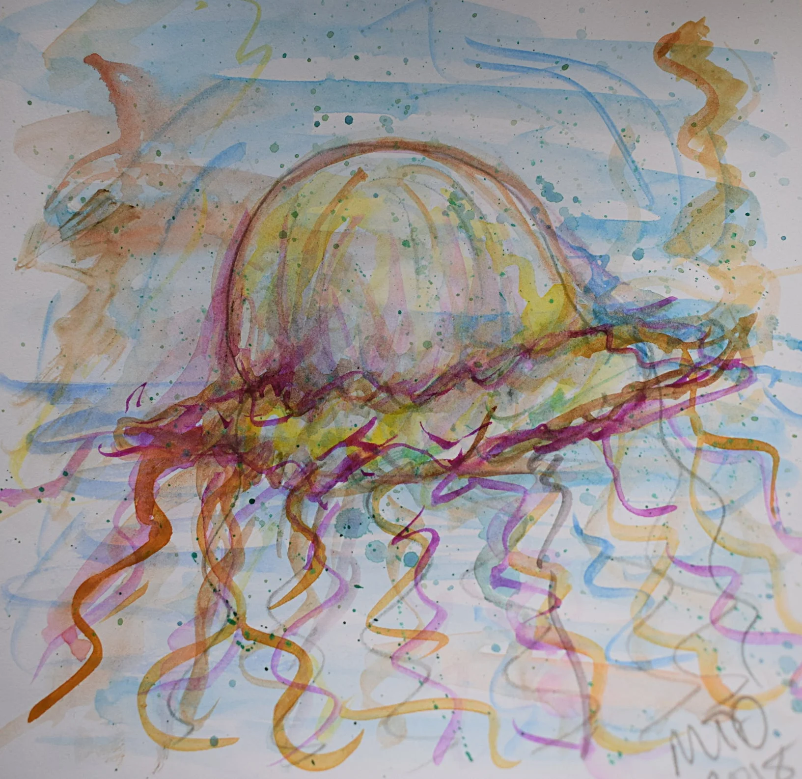 Norris the naughty Lions Mane was looking for trouble 