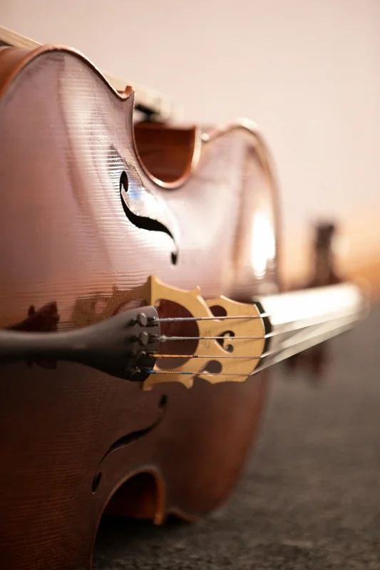 Cello liggandes 2.jpg