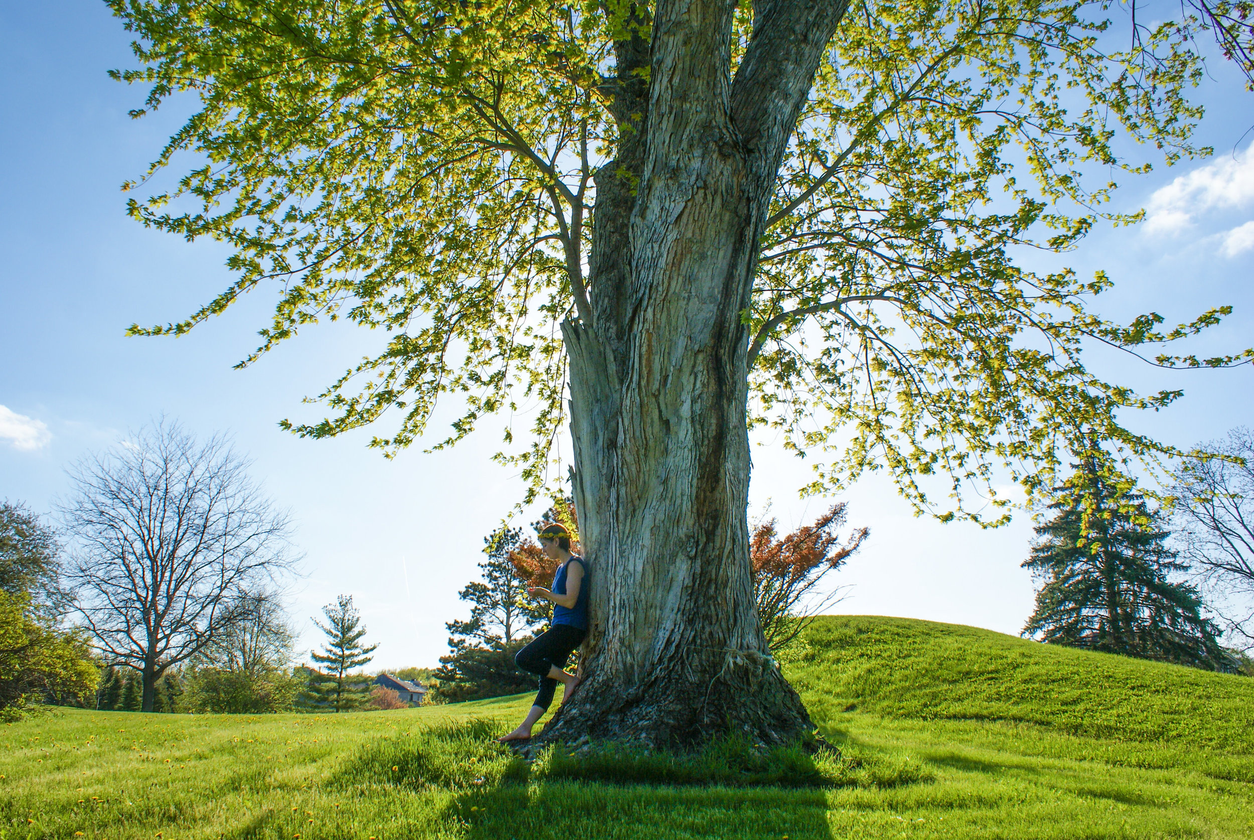 "Even if I knew that tomorrow the world would go to pieces, I would still plant my apple tree." Martin Luther King