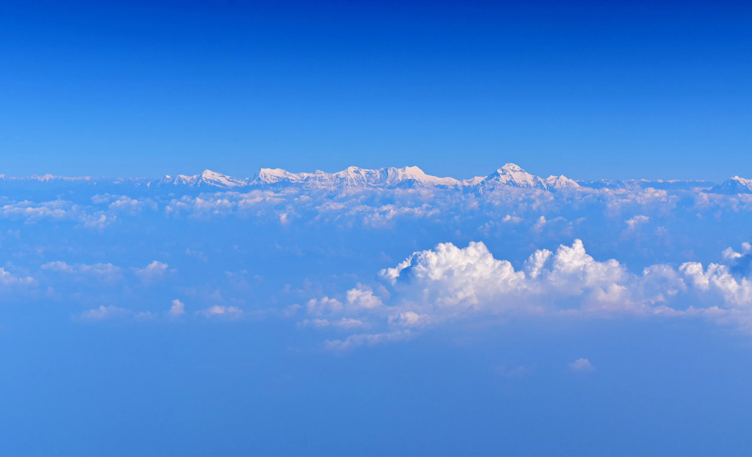 Twenty for 2020 : Our New Year Campaign