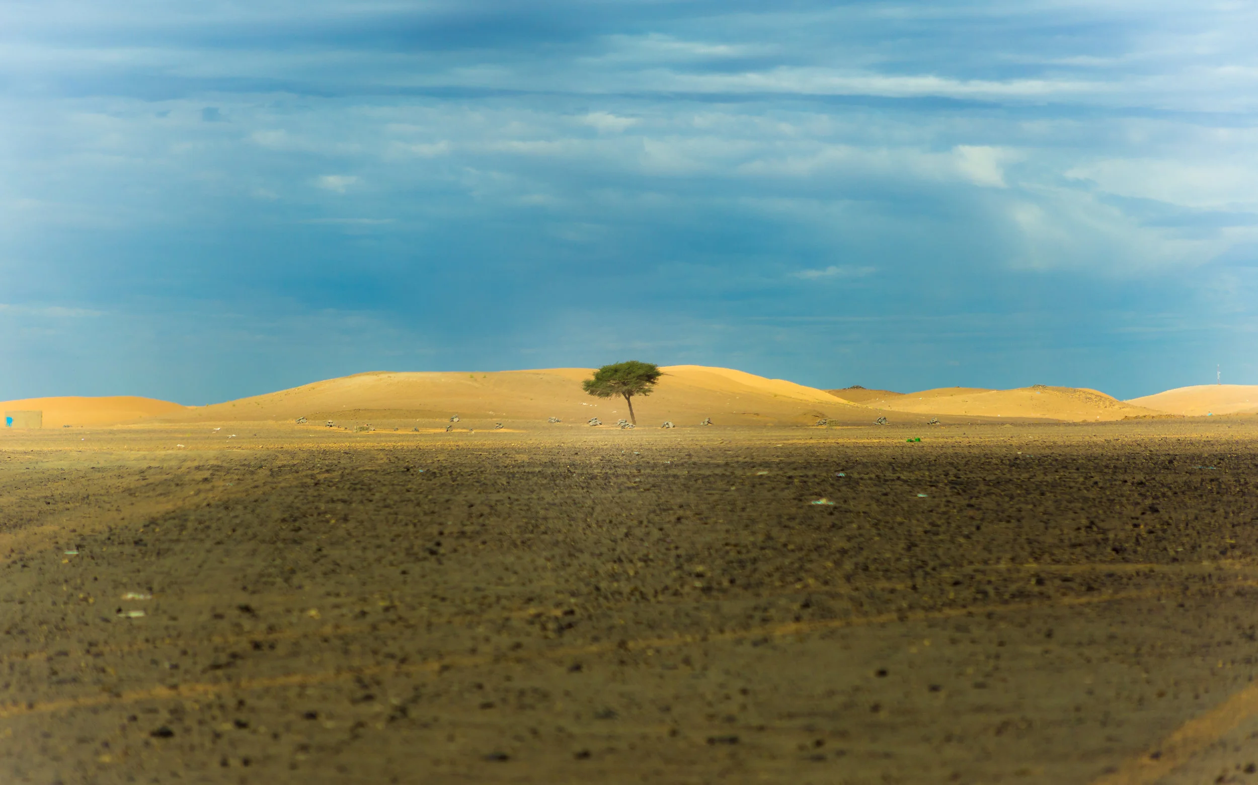 Resilience: Being realistic, being hopeful