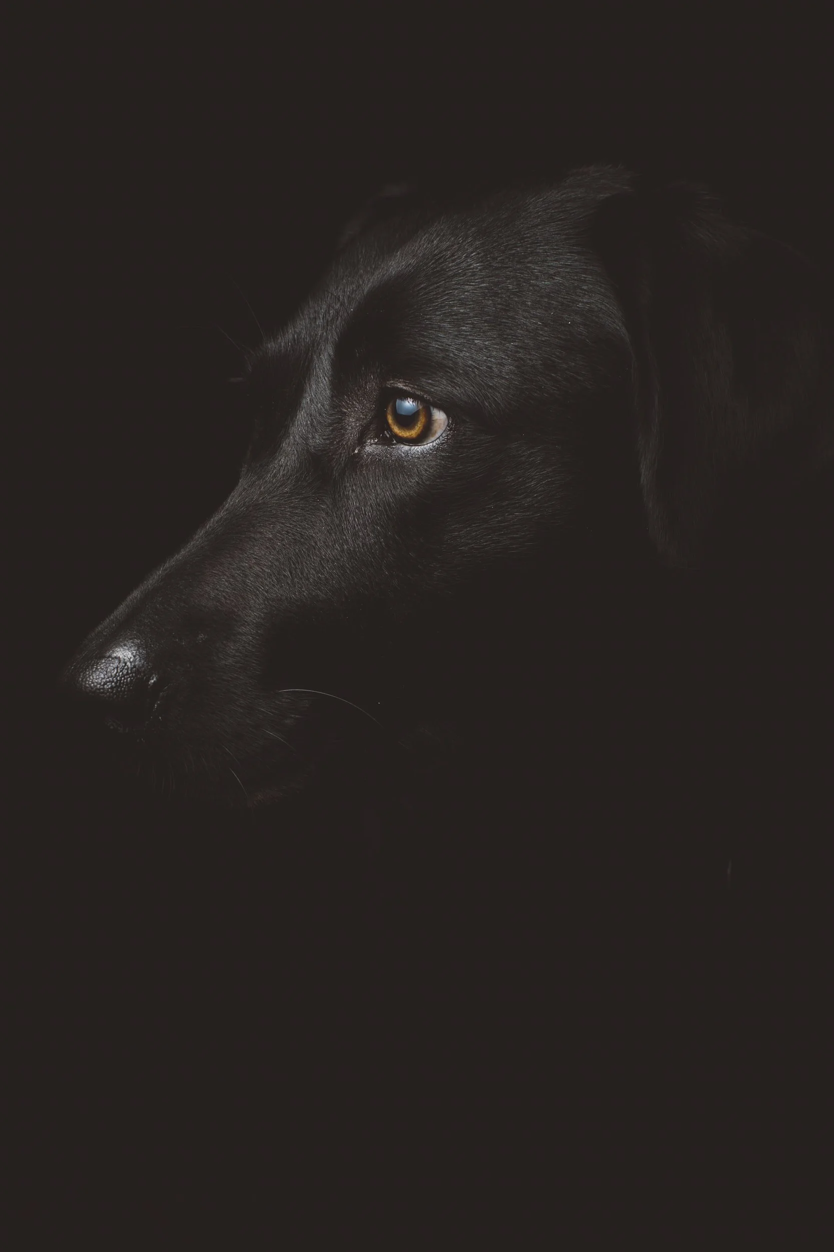 unsplash-image-w39PTDxKiK8.jpg