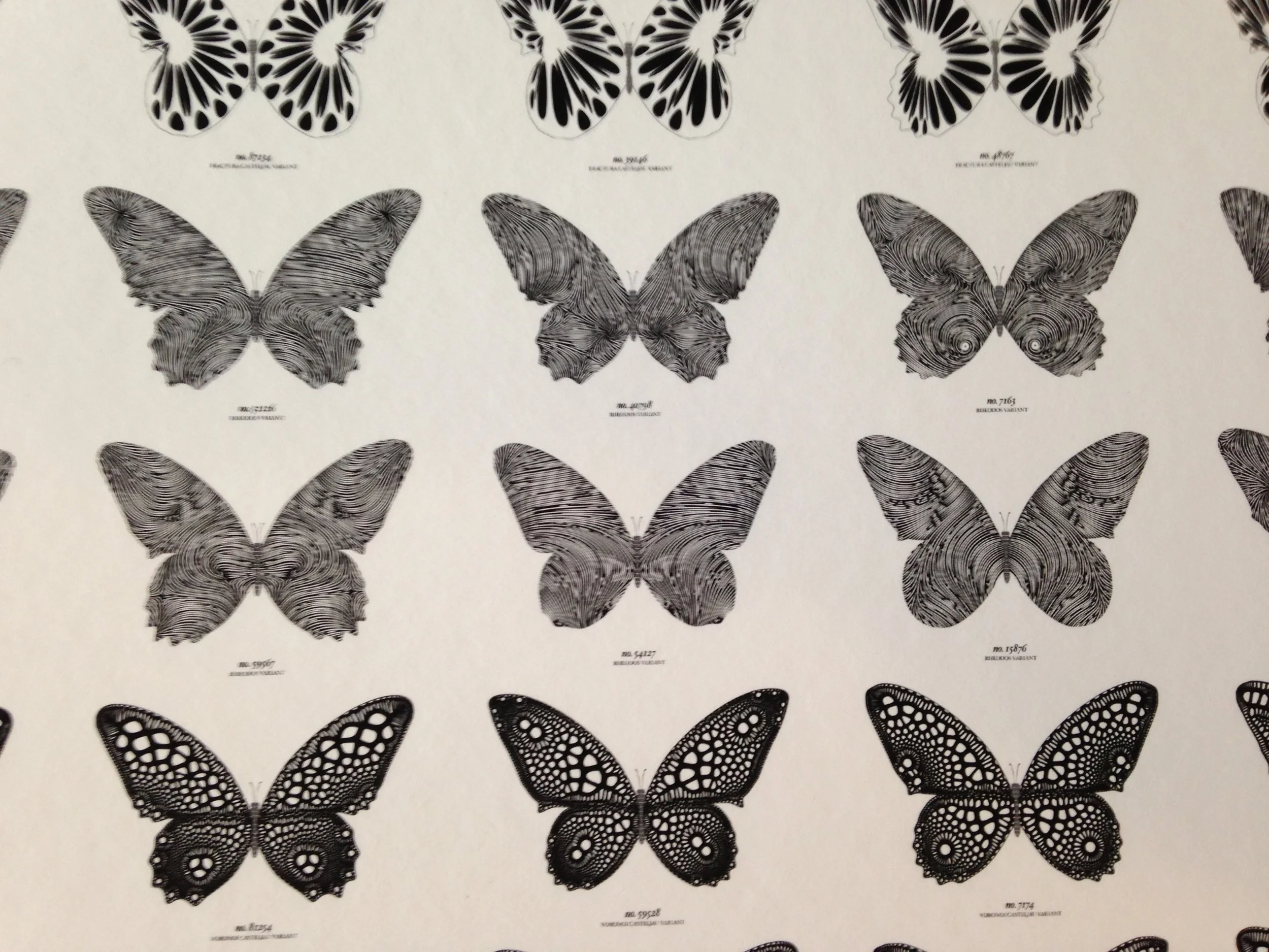 Other Physical Objects - 154.JPG