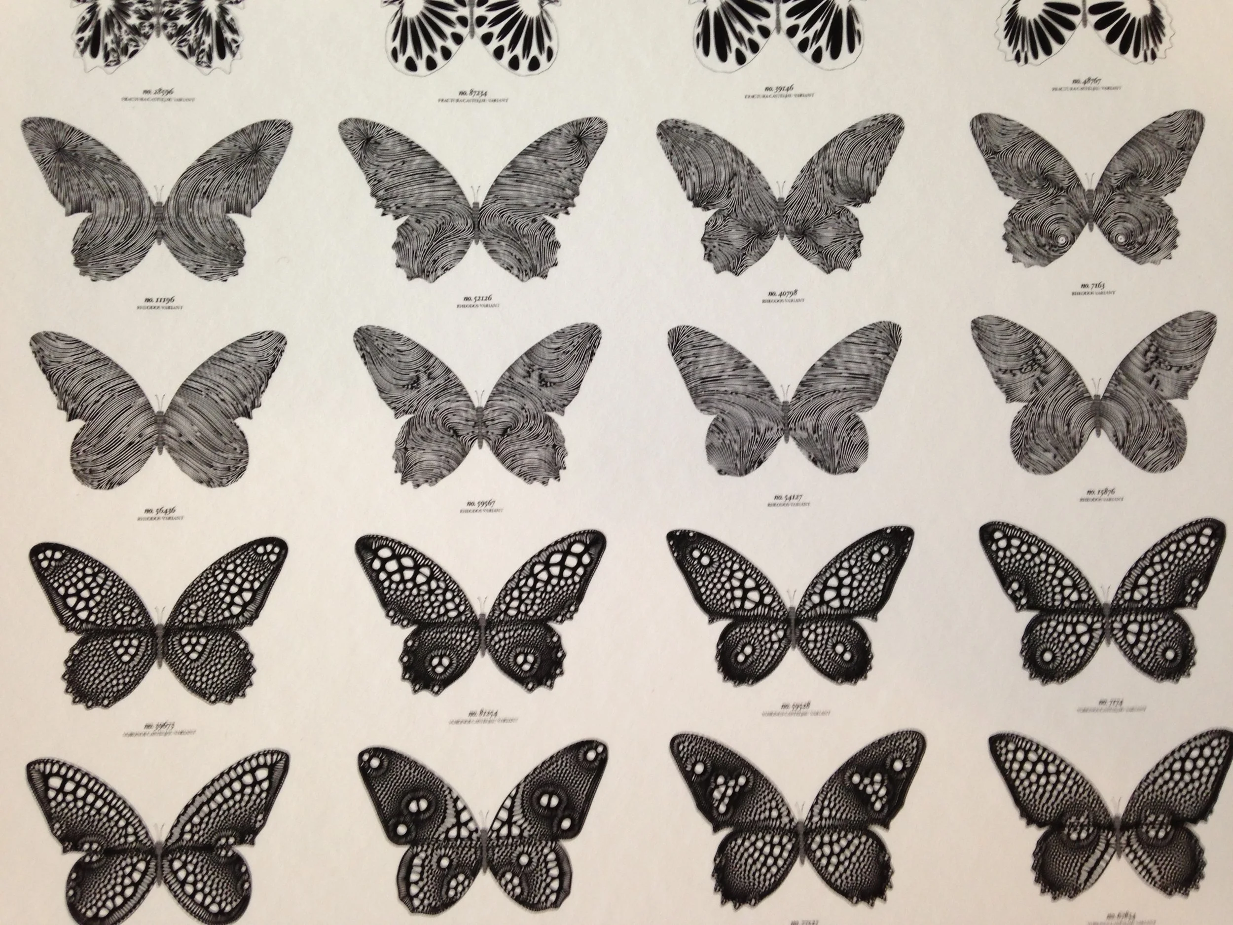 Other Physical Objects - 155.JPG