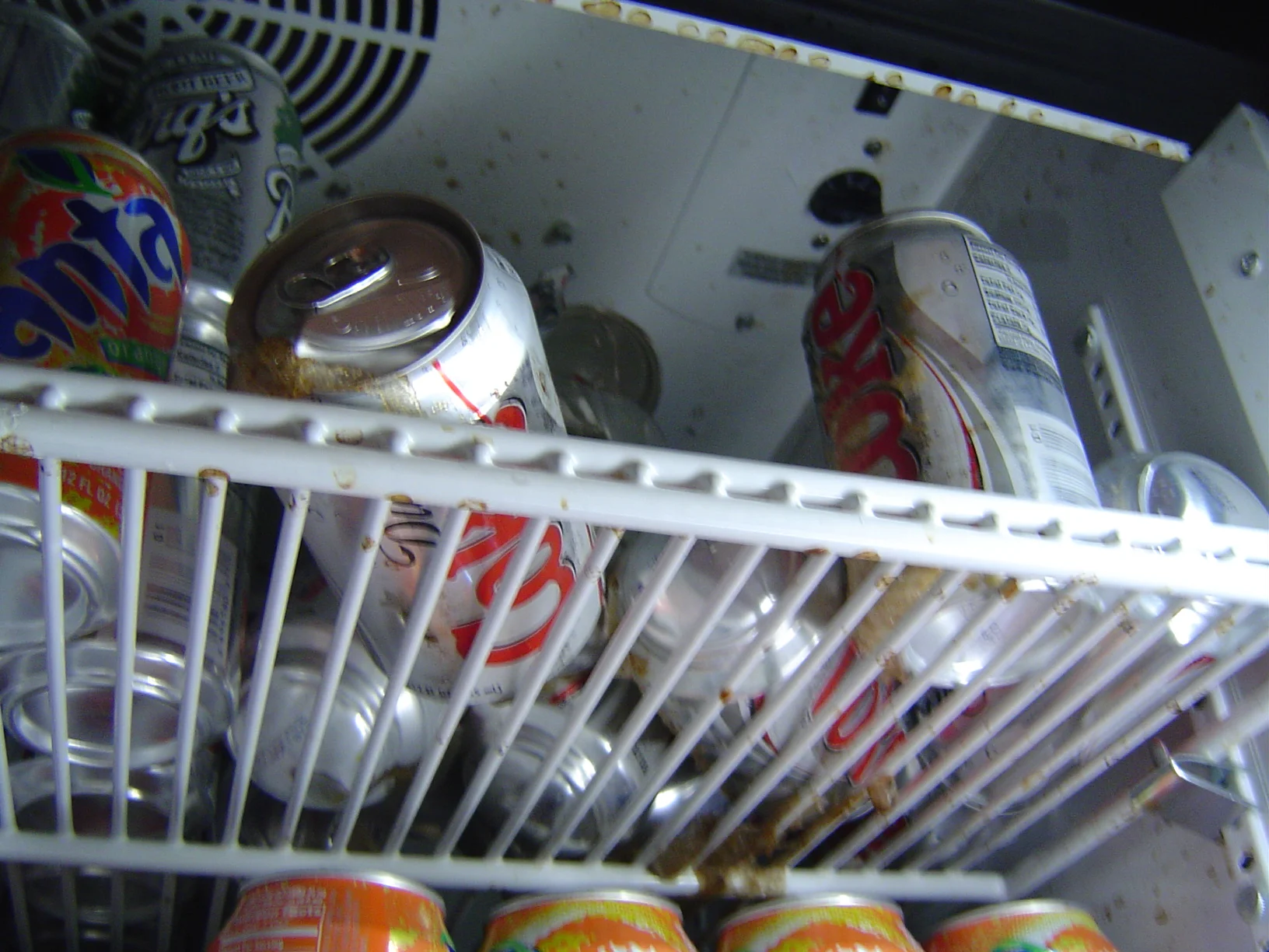 Barbarian 2005 Doug Photo History - 47.JPG