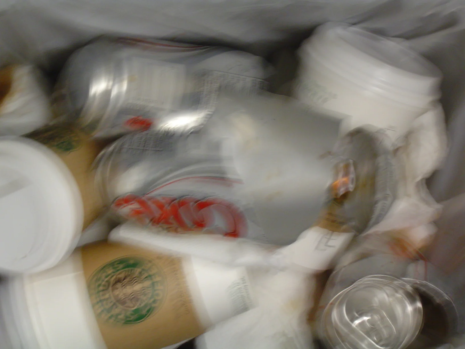 Barbarian 2005 Doug Photo History - 49.JPG