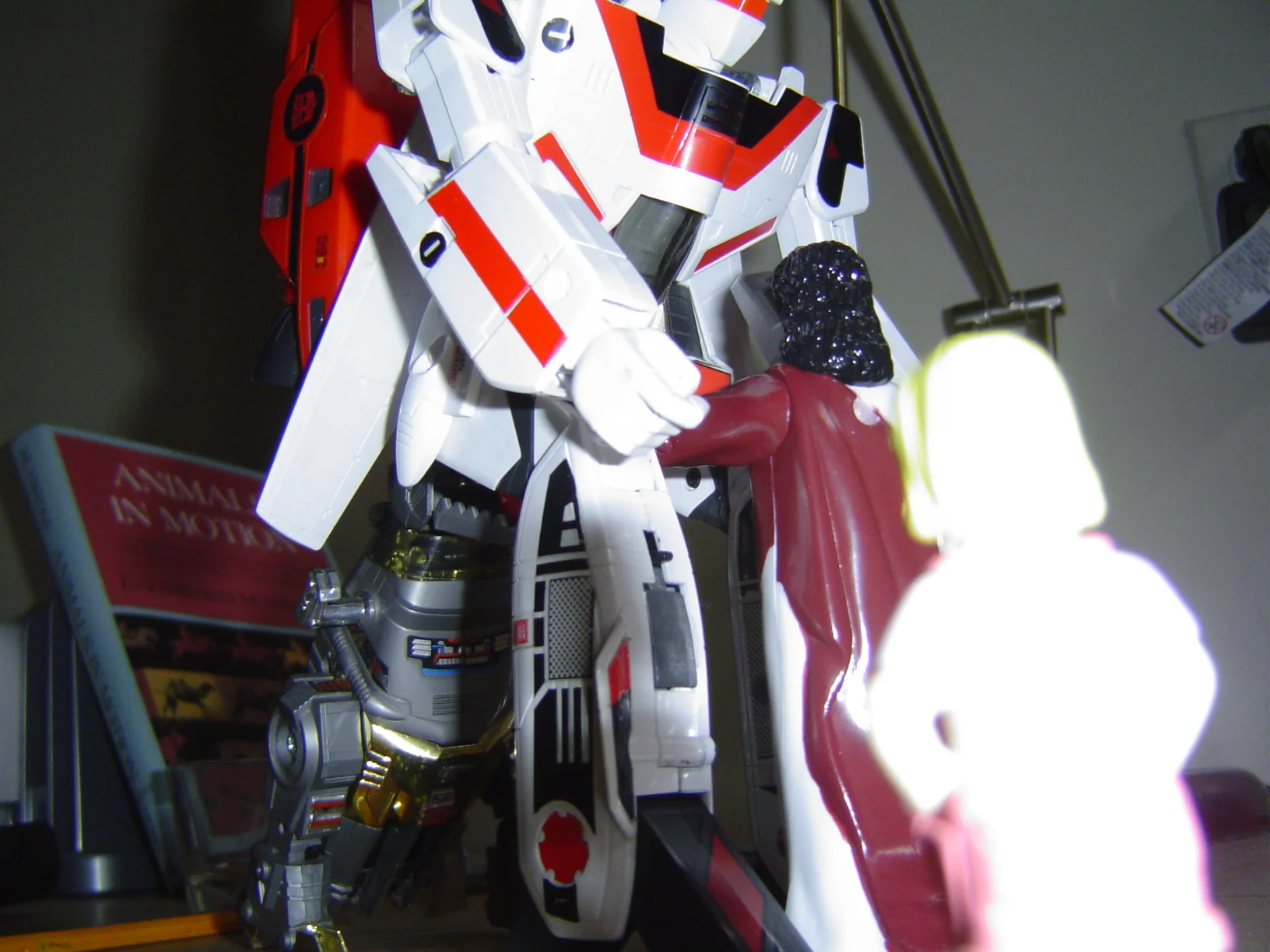 Barbarian 2005 Doug Photo History - 91.JPG