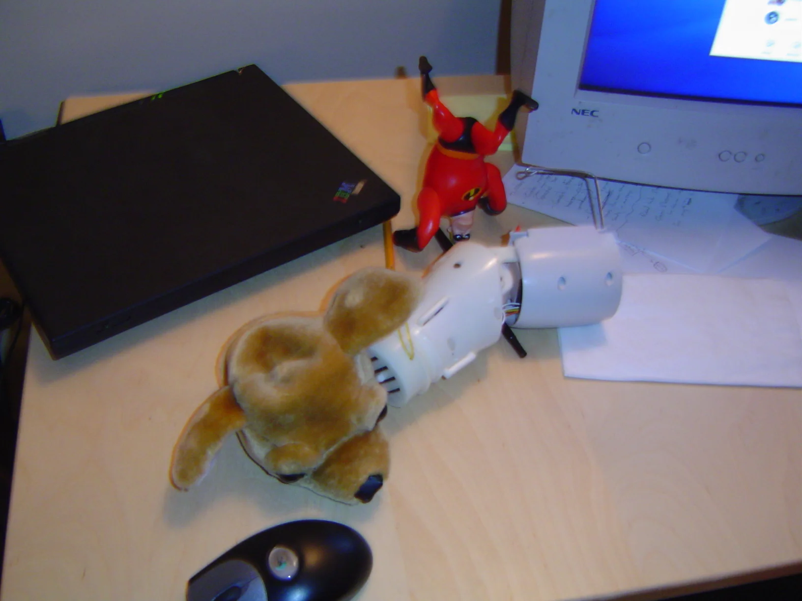 Barbarian 2005 Doug Photo History - 97.JPG