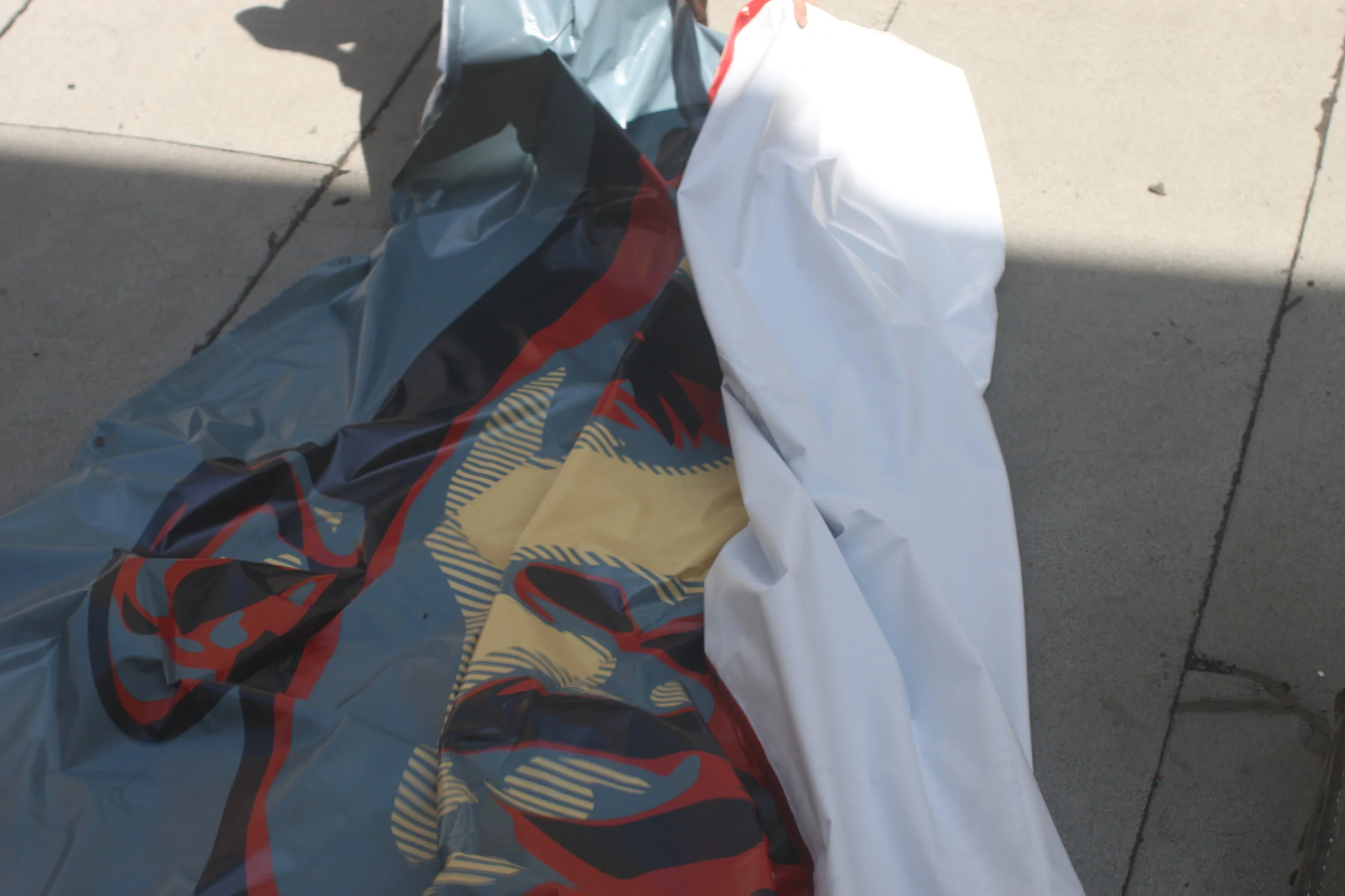 Barbarian SF Shepard Fairy Sept 2009 - 7.JPG