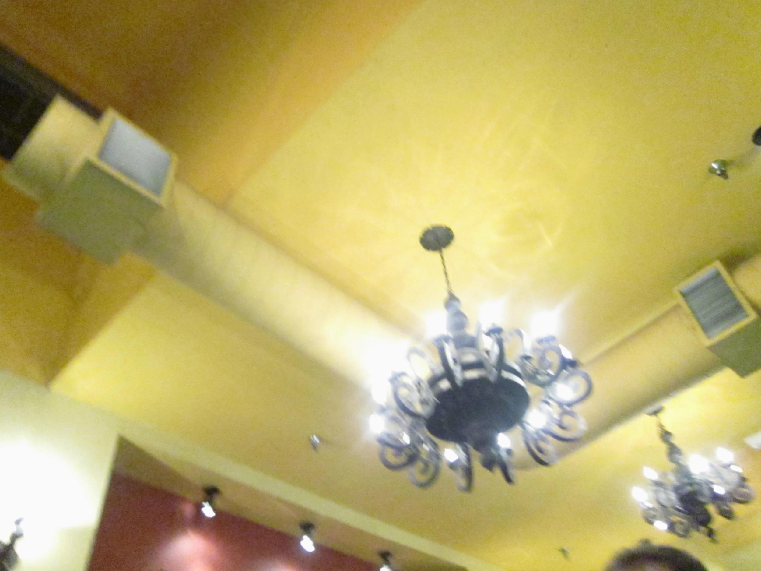 Barbarian Kashi Dinner SF Jan 2010  - 36.JPG