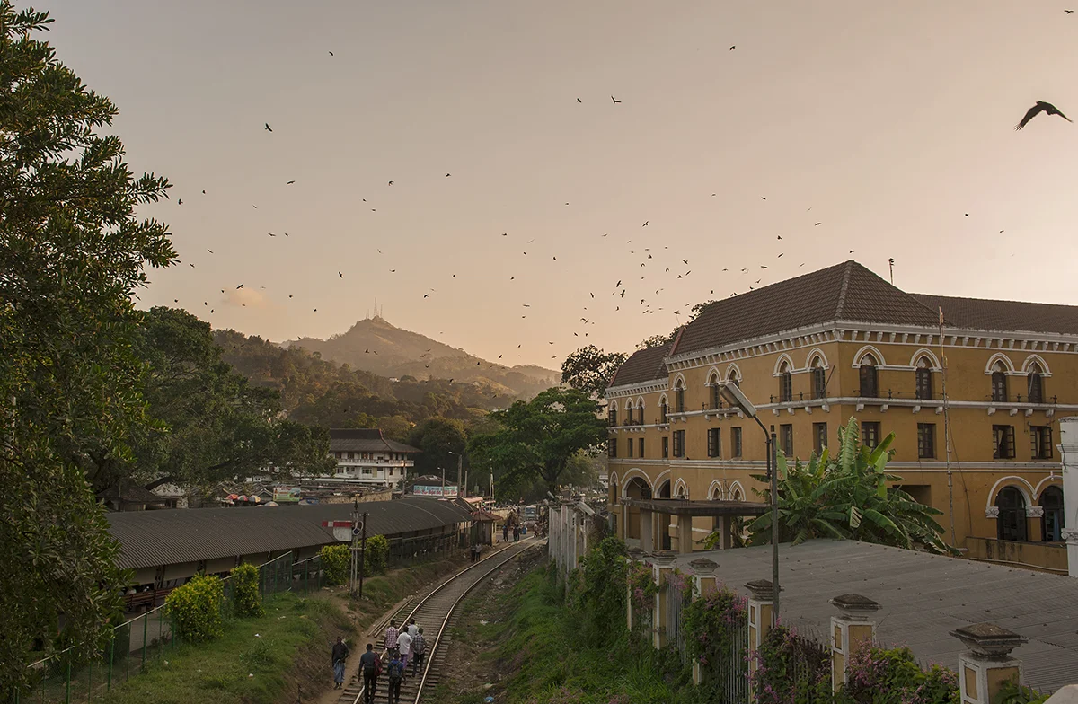 Sri Lanka 02.17