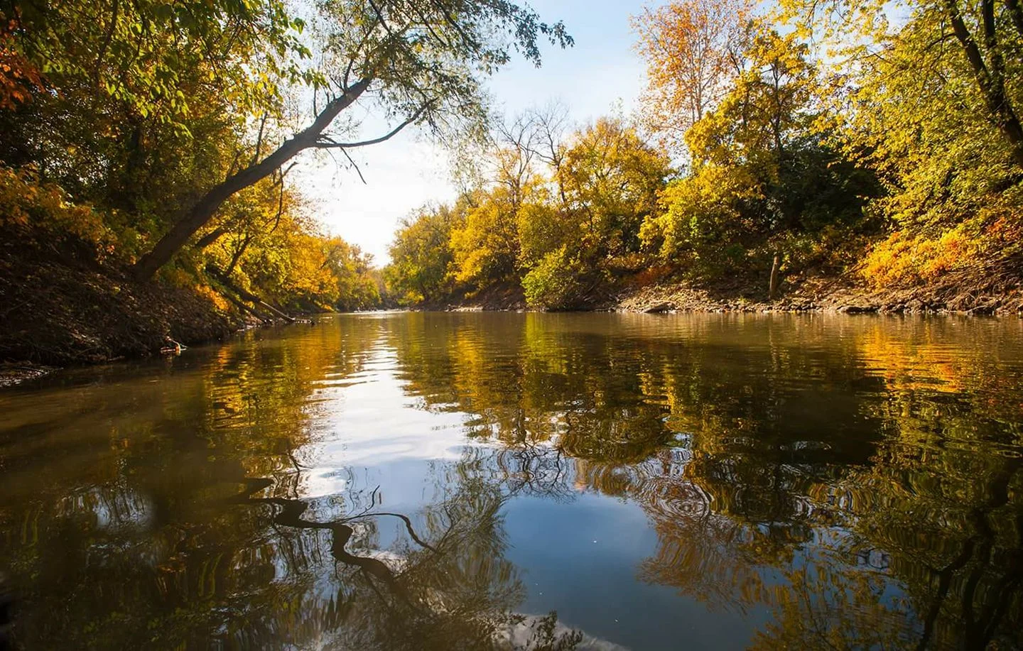 MSD Water Quality Forum 