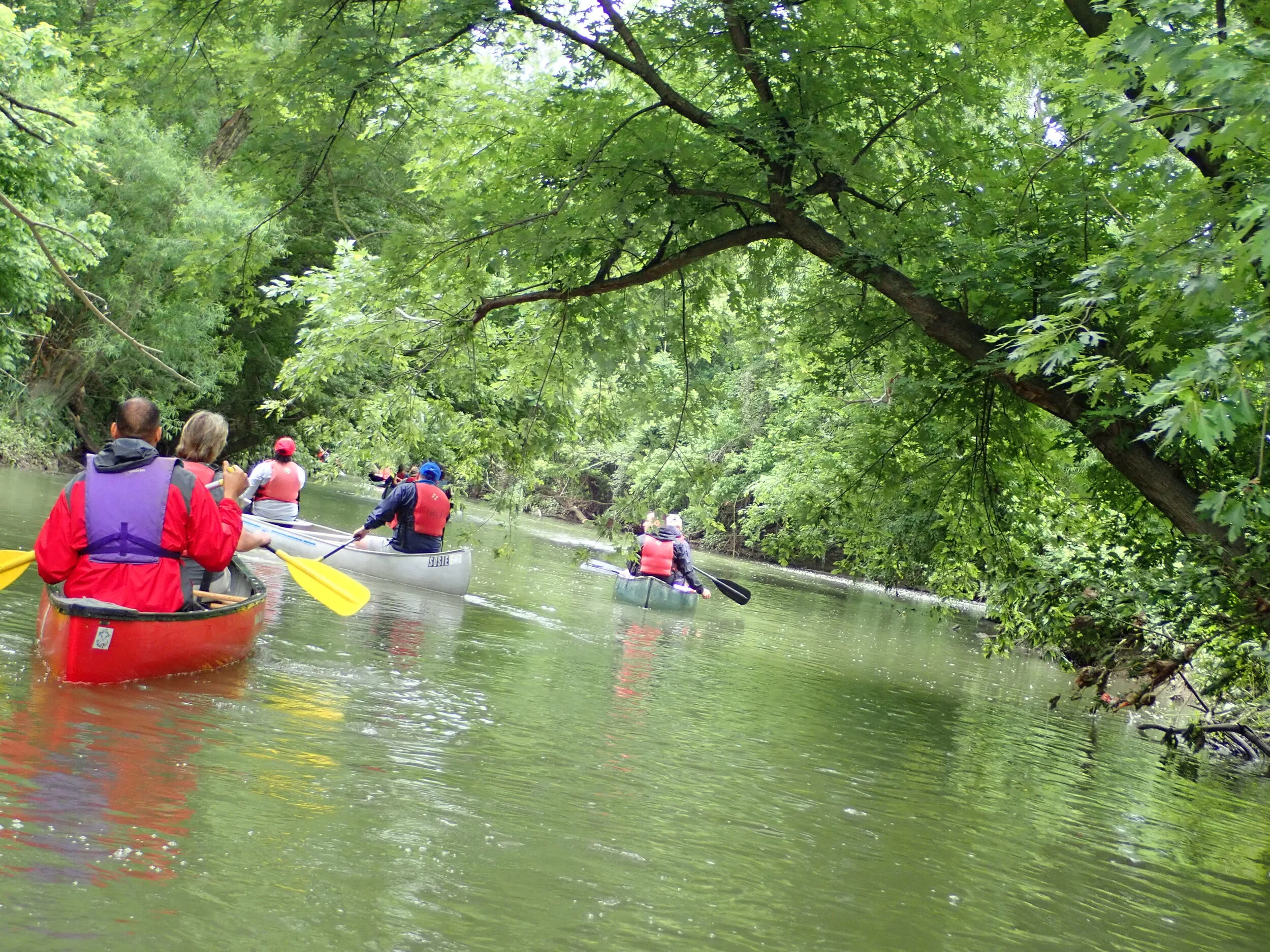 Urban Stream Adventure