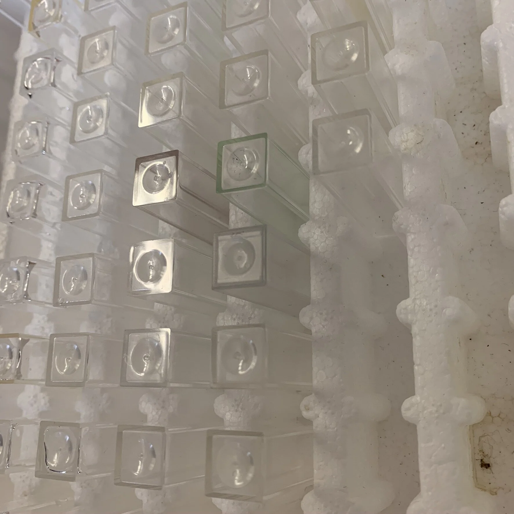 Water Quality Monitoring Sampling Saturday (Copy) (Copy)