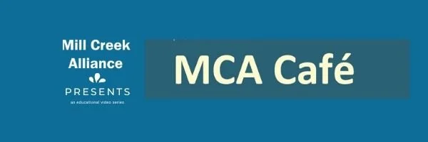 Basic Good Vibes Email Header.jpg