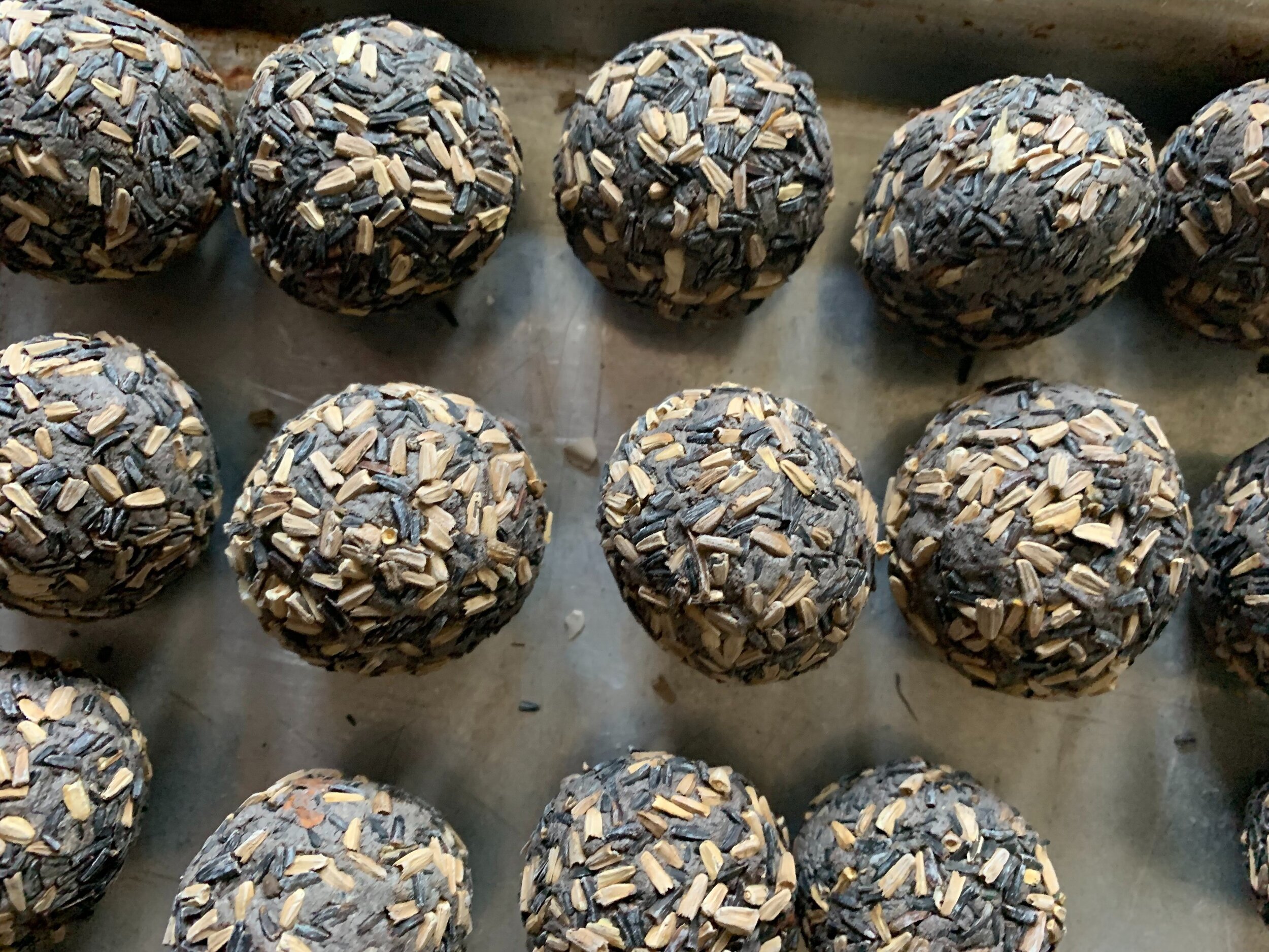 Seed Bomb & Winter Sowing Workshop