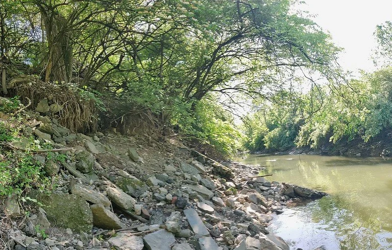 52974517920_a9530c2e3d_c.jpg
