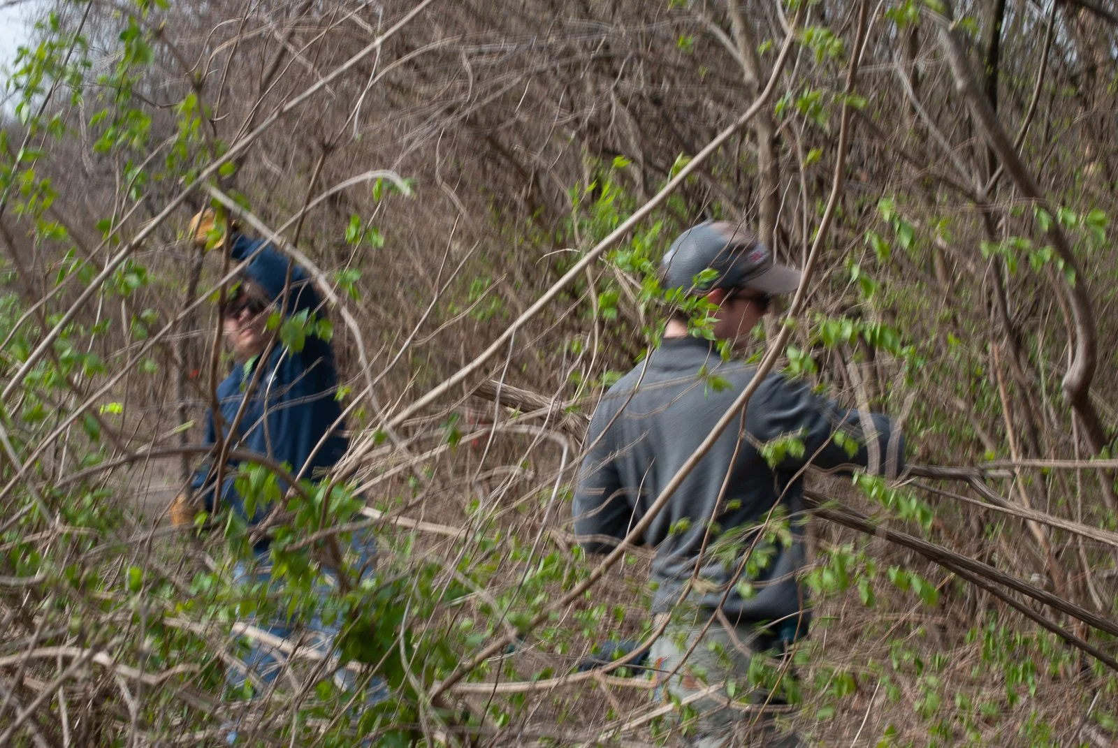 Workparty in the Watershed