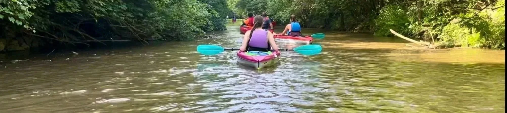 Canoes & Community Event in Woodlawn/Wyoming