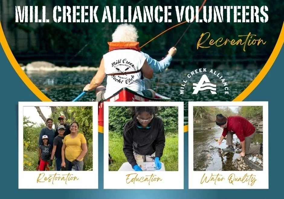 Volunteer Appreciation Field Day & Picnic