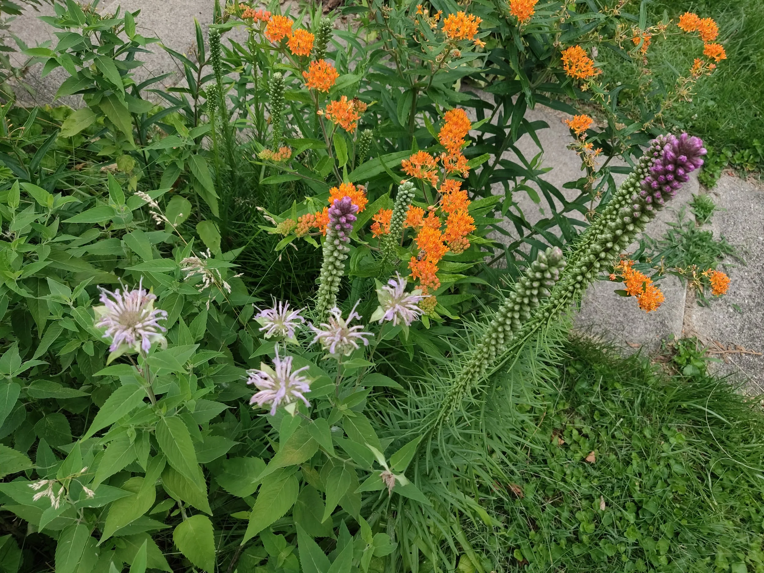 Environmental Education Earth Day Event