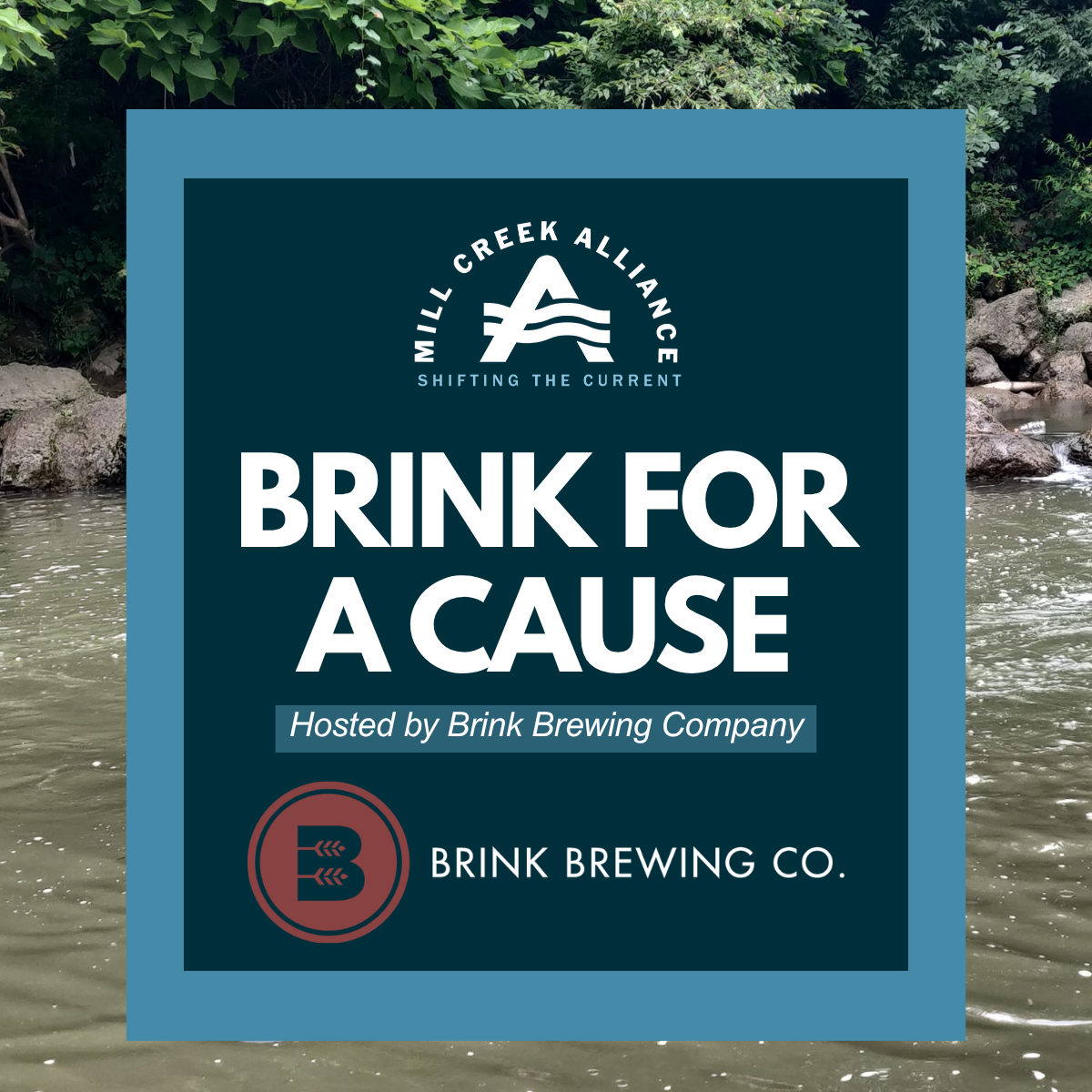 Pint Night at Brink Brewing Co