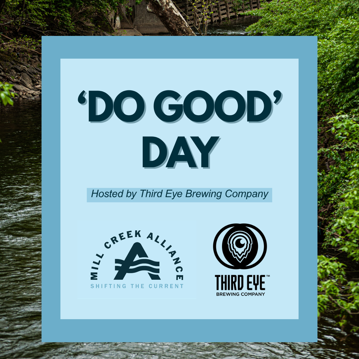 Pint Night at Third Eye Brewing