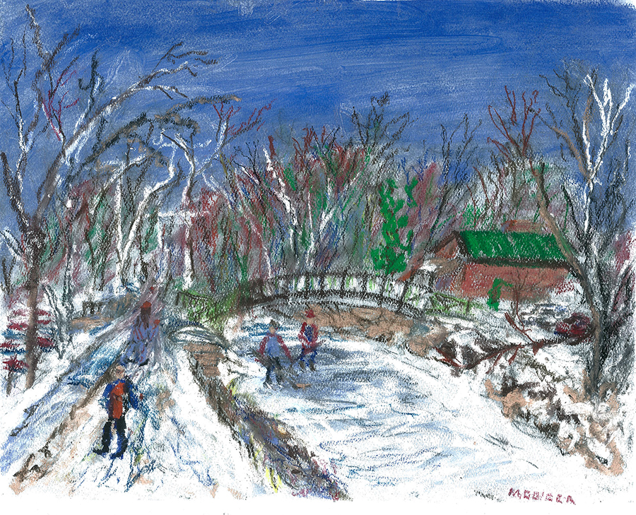 Ice Skating C & O Canal