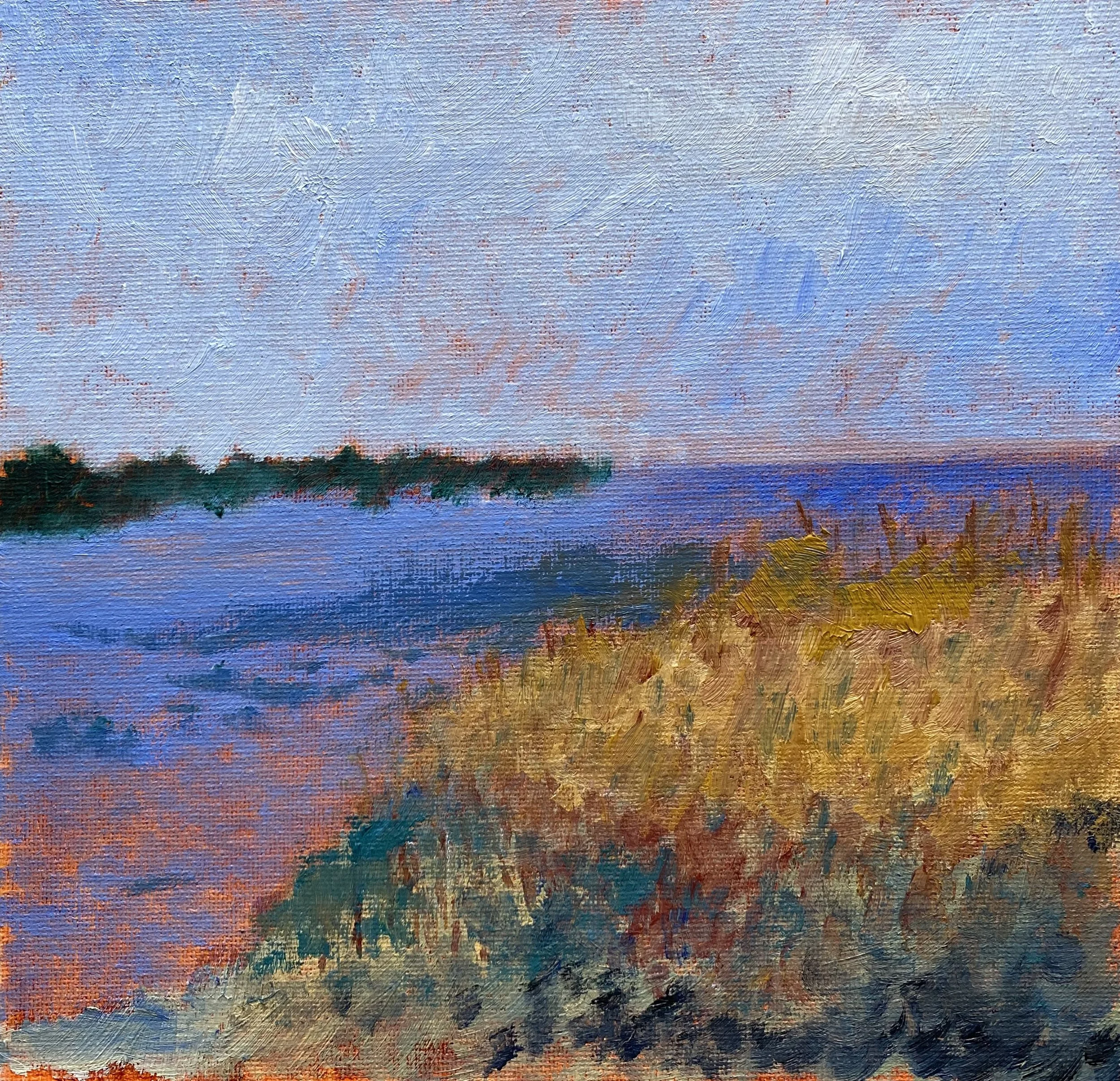 Summer Dreams - Cynthia Reddersen.jpeg