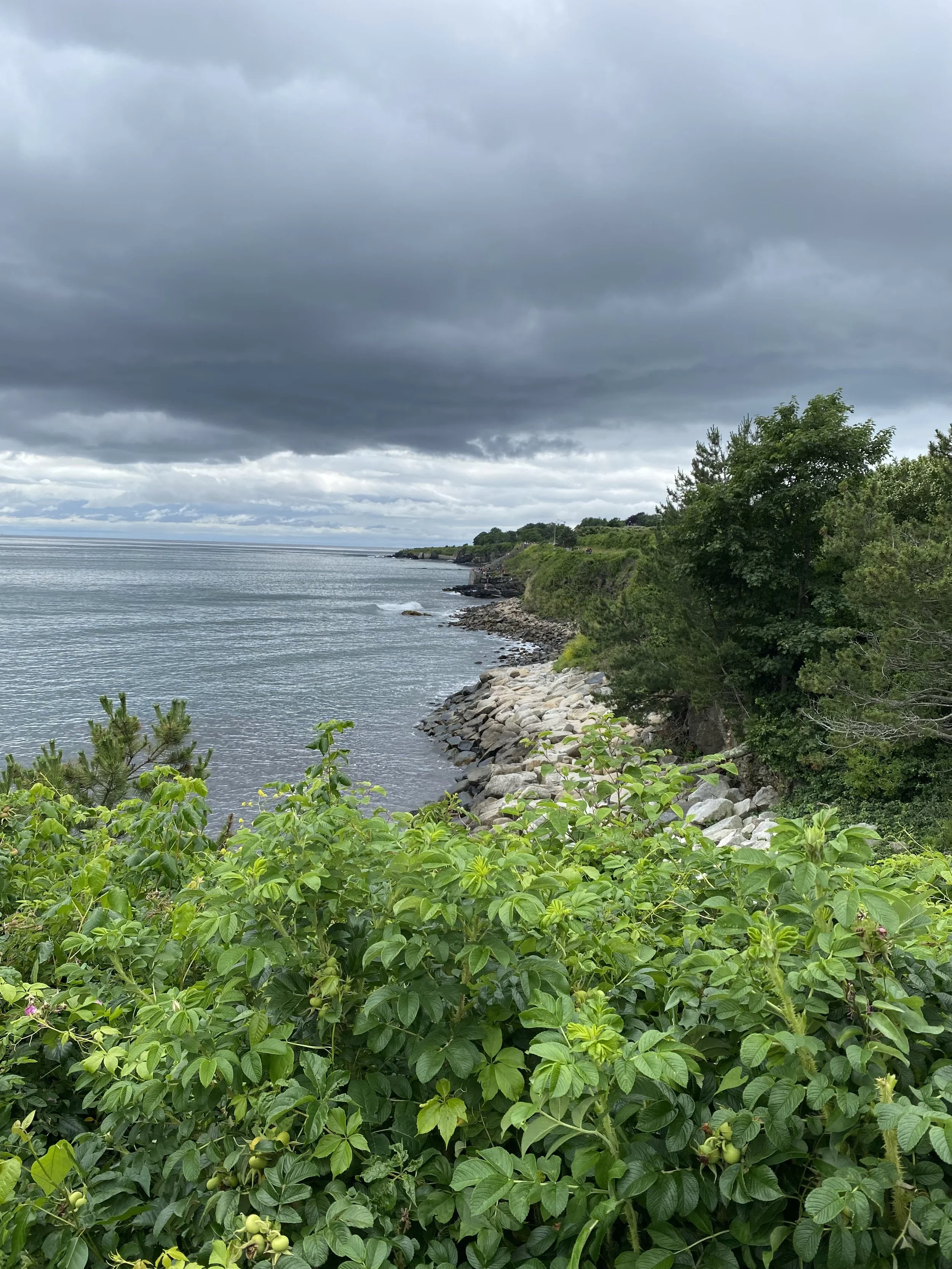 Cliff Walk - Priscilla Woodford.jpeg