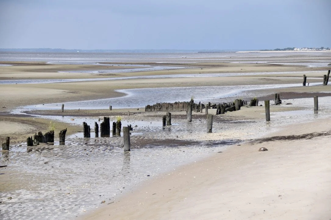 Low Tide On The Delaware - James Finkel.jpeg