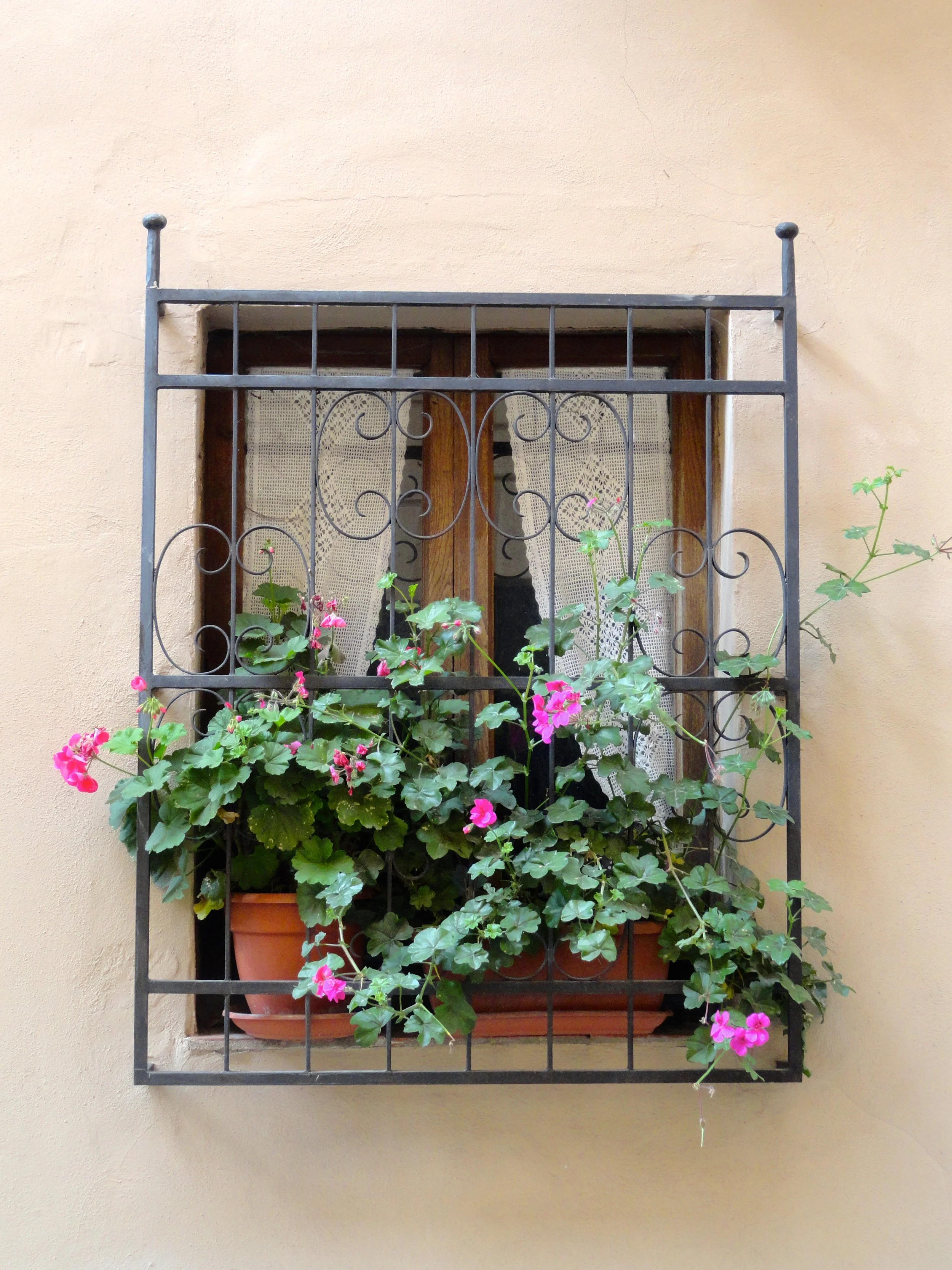 Tuscan Window - James Finkel.JPG