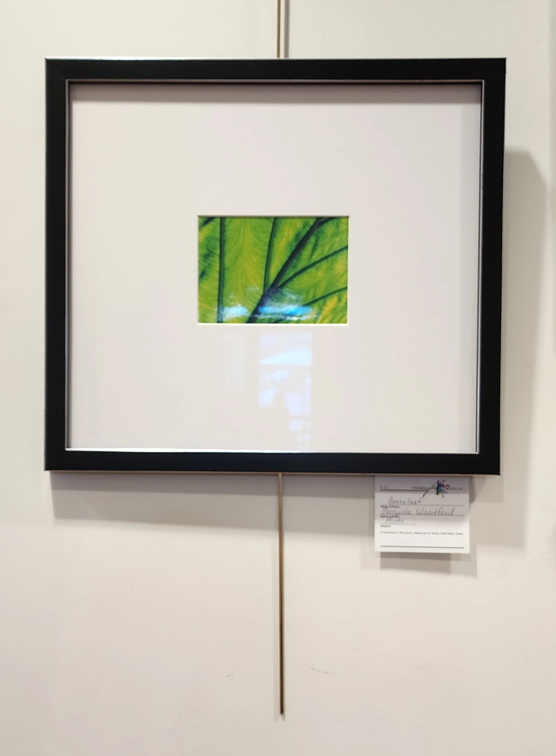 library-fairfax-art-league