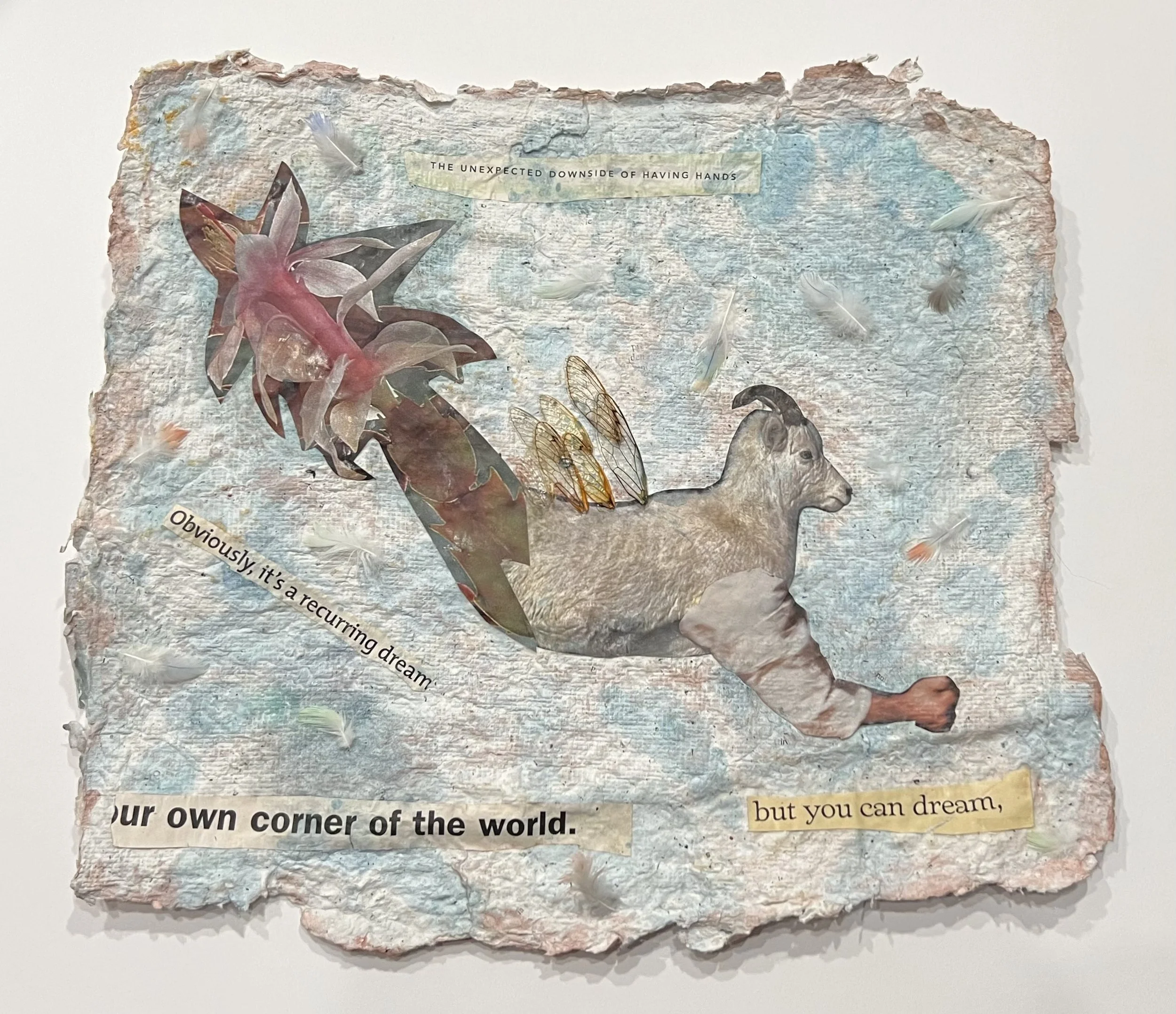 REM Ram - Amanda Fletersmith.JPG