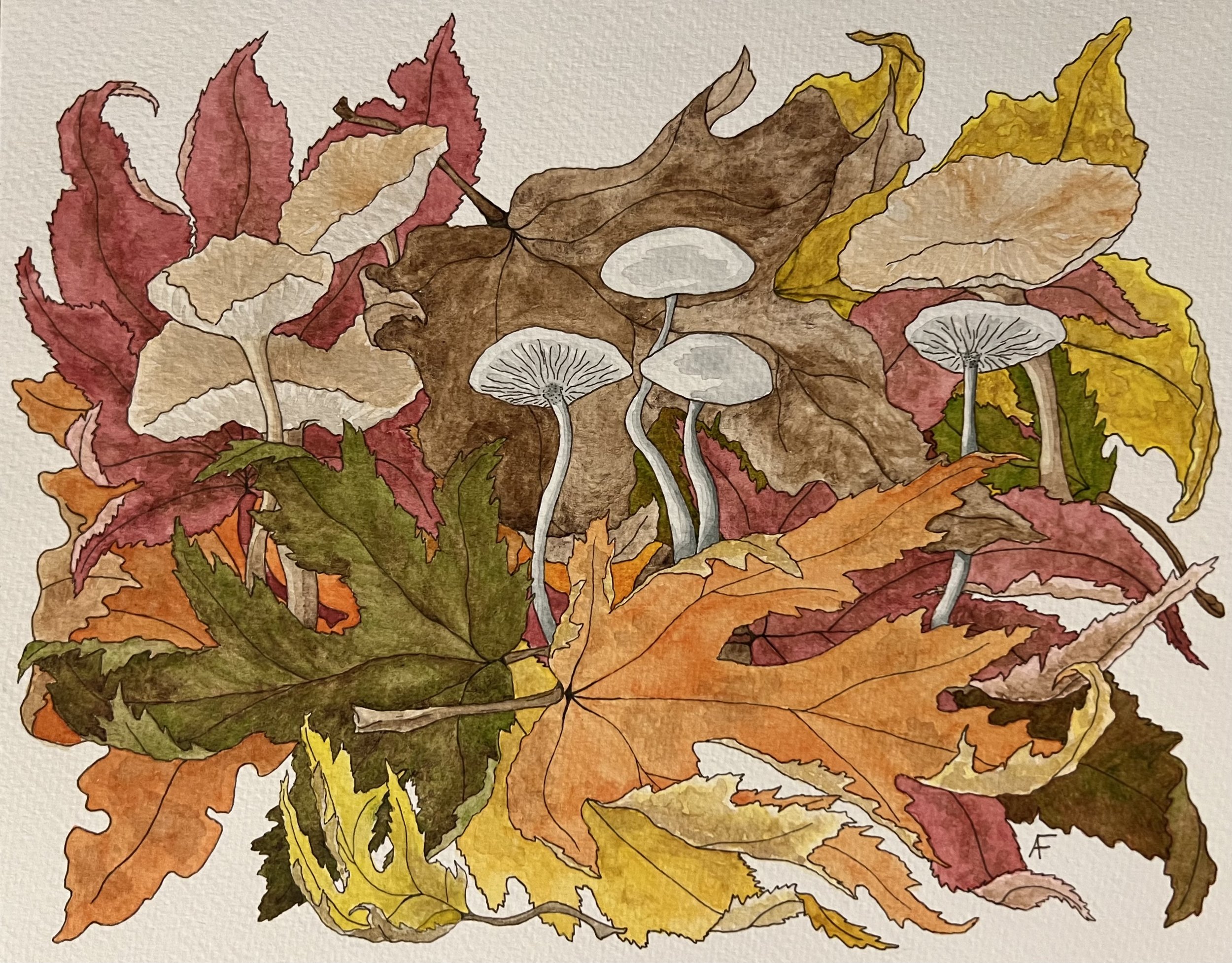 Fletchersmith-Amanda-Fall%20Study.jpg
