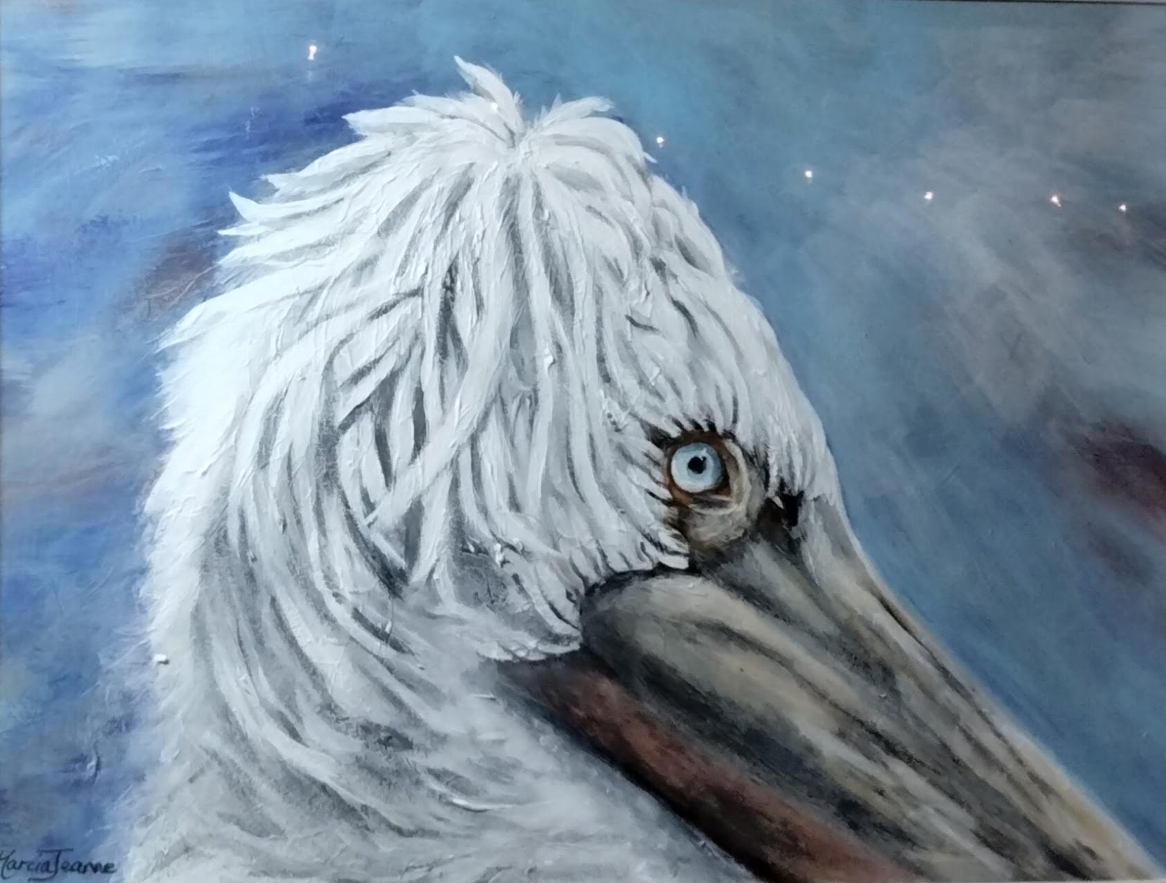 best pelican.jpg