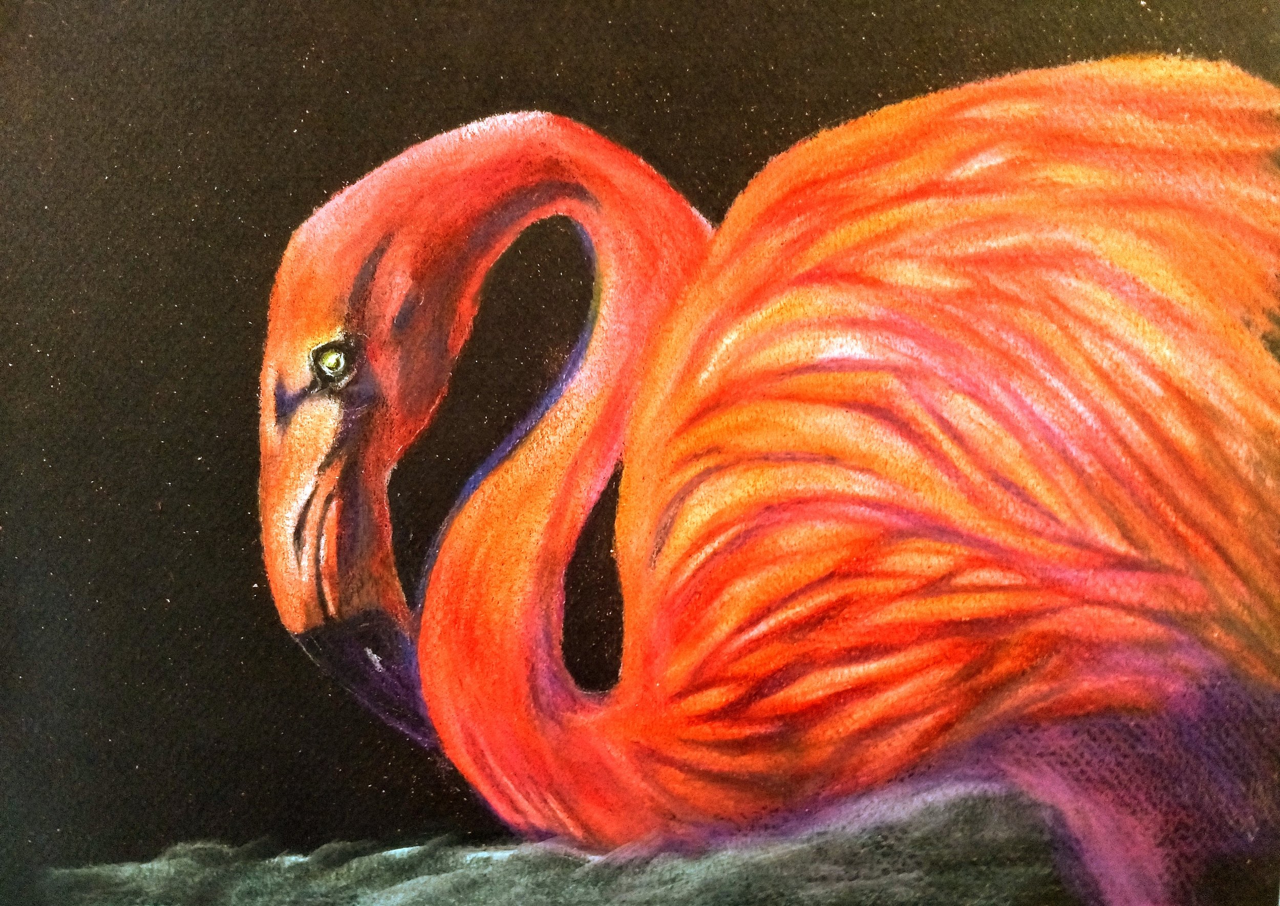 flamingo good.jpg