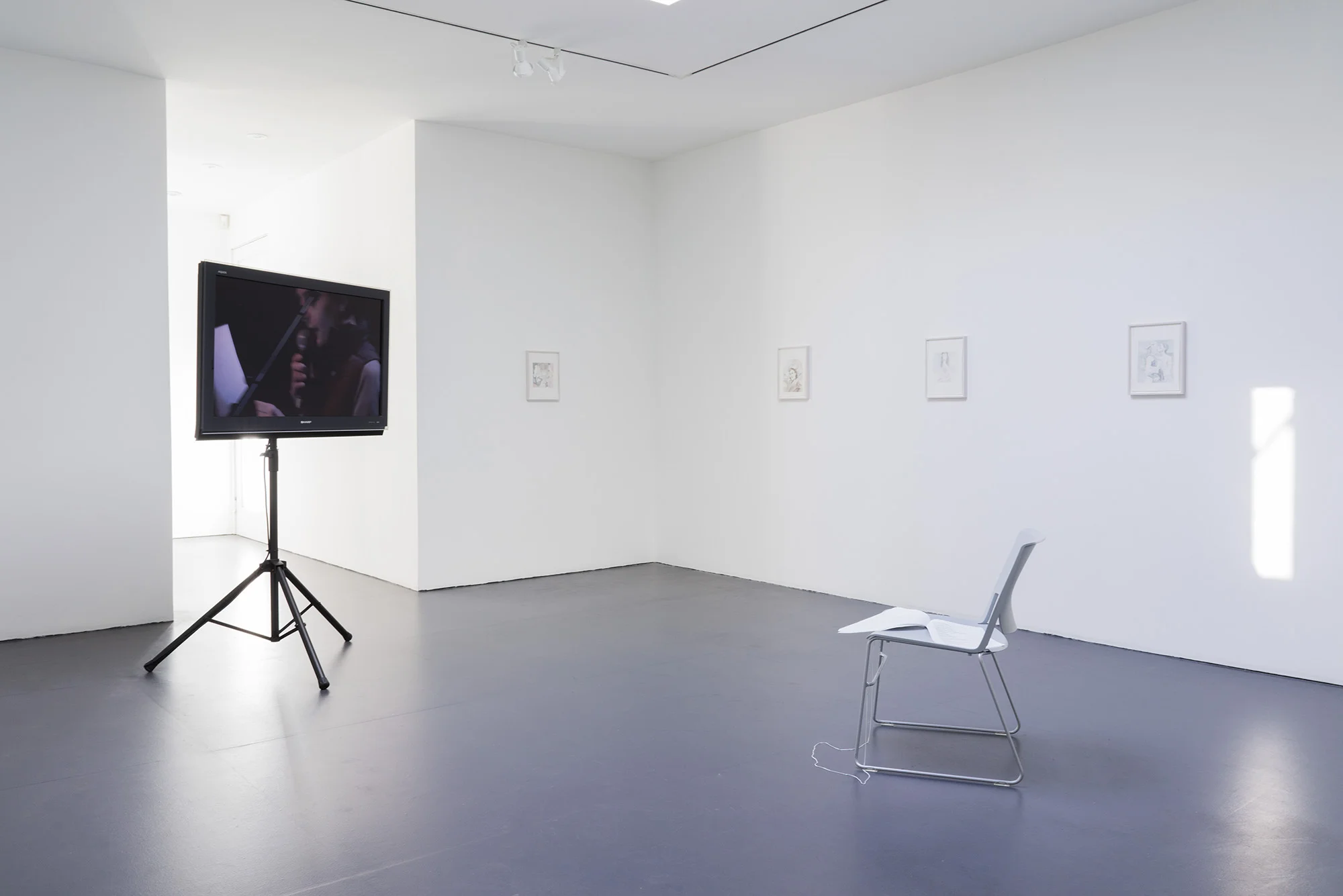 Installation view, More than what I am providing , Friedemann Heckel & Luzie Meyer