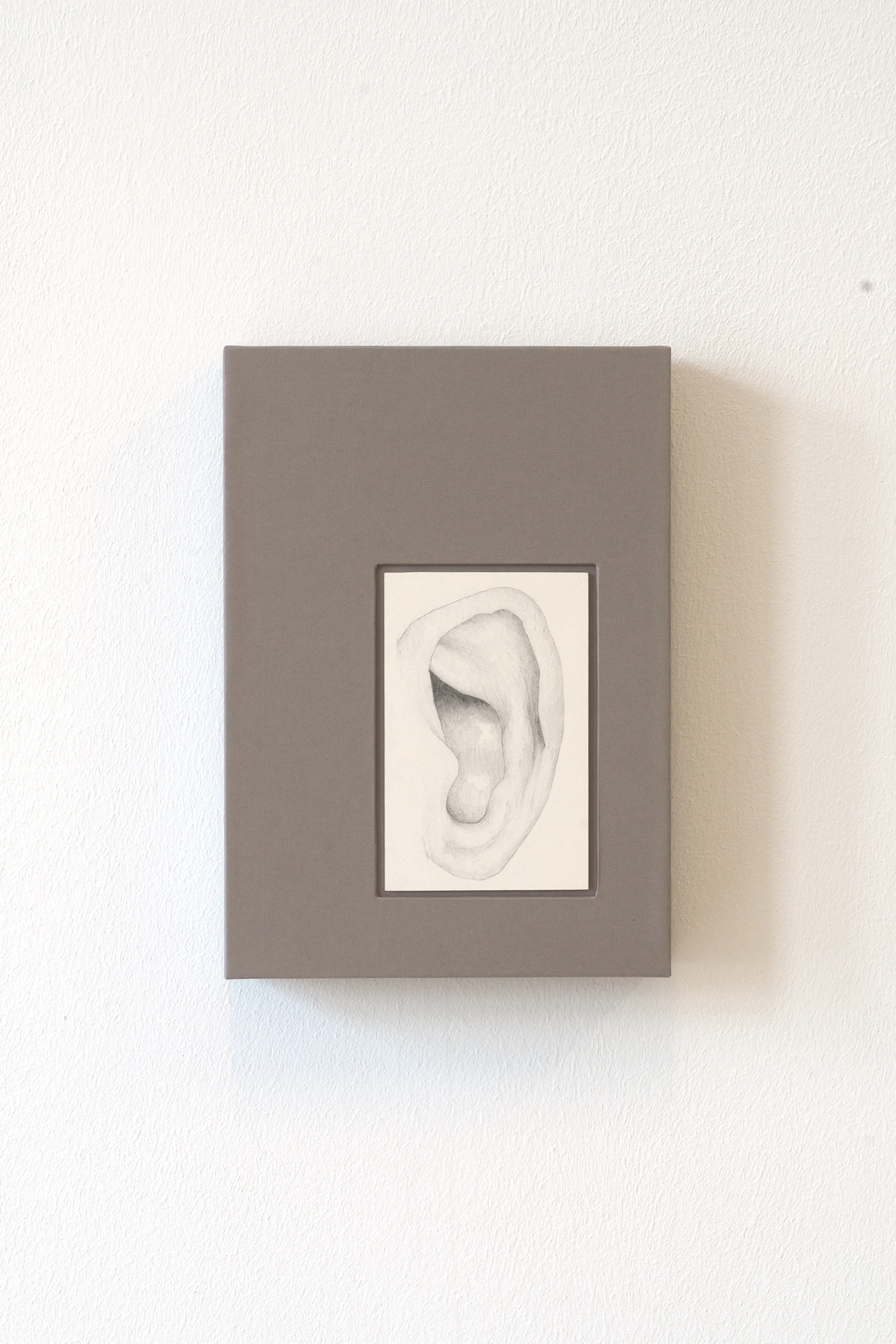 Ear Collector , 2019