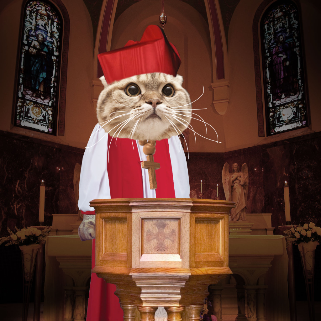 Easy as Baptising Cats