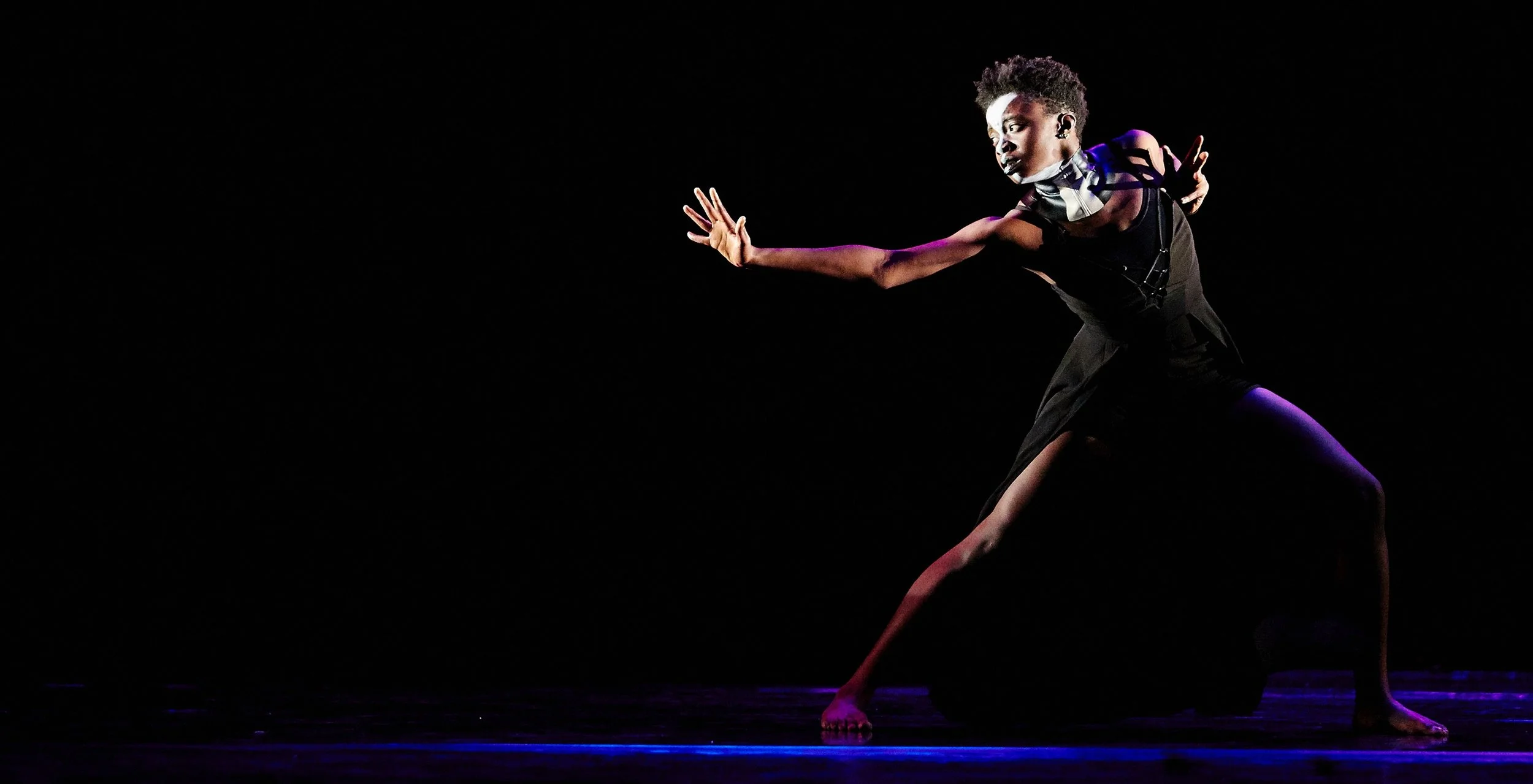 University of Nevada-Las Vegas