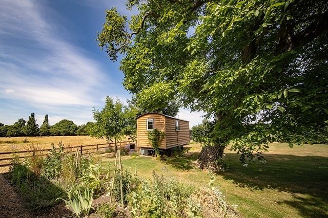 One week until we reopen our doors ....we have been told the views are like the Tuscan countryside, and the accommodation is luxurious and peaceful. Treat yourself, and enjoy some quality, you time in our Shepherds Hut or Bothy and its magnificent ru
