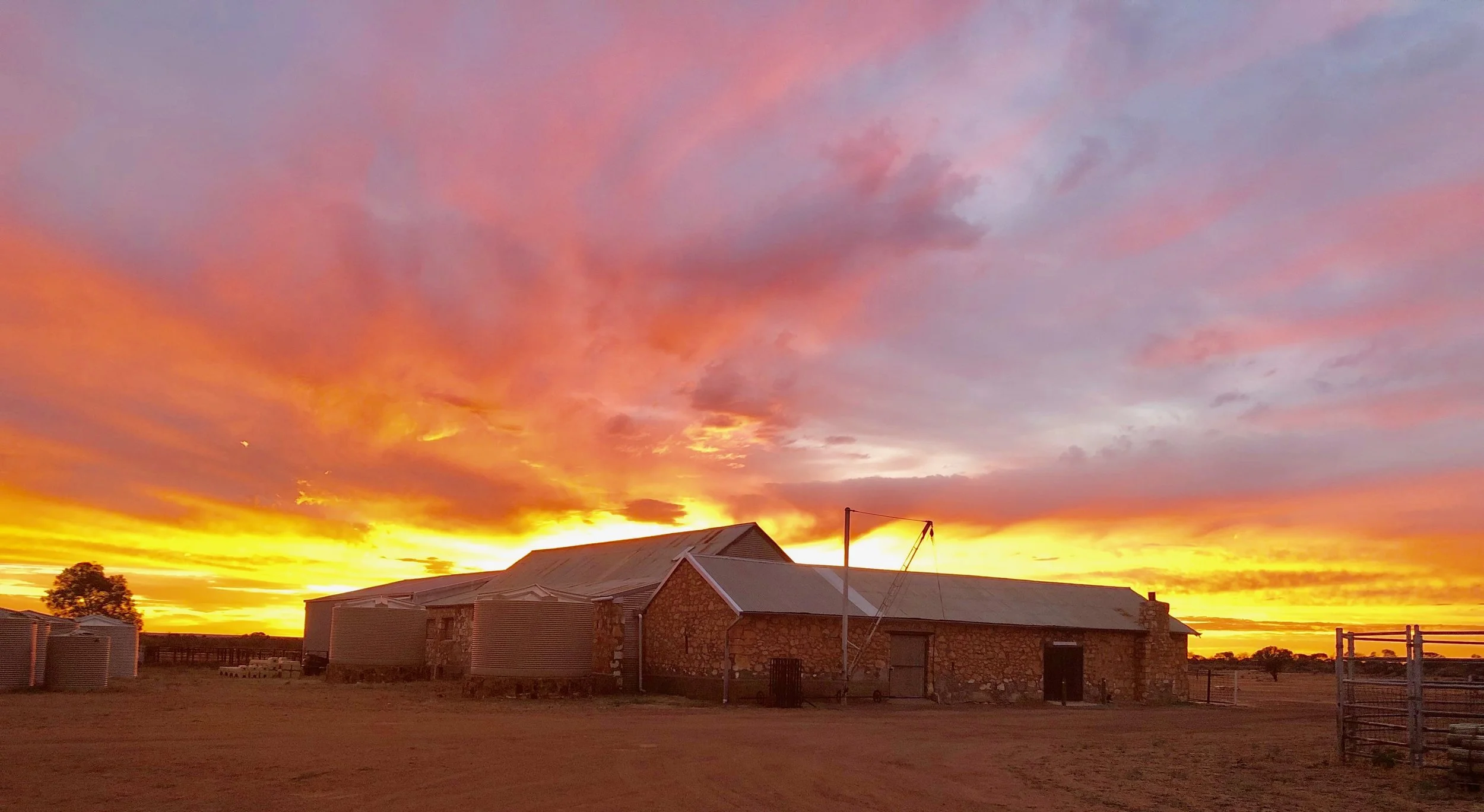 Sunrise and The Mellenbye Shearing Shed