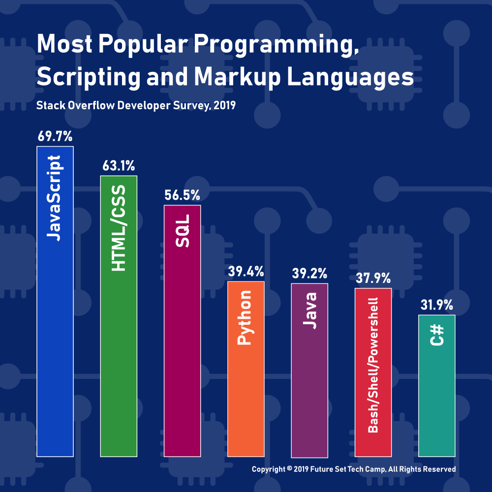Infographic - Most Popular Programming Languages of 2019