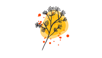 Blog Post Deco.jpg